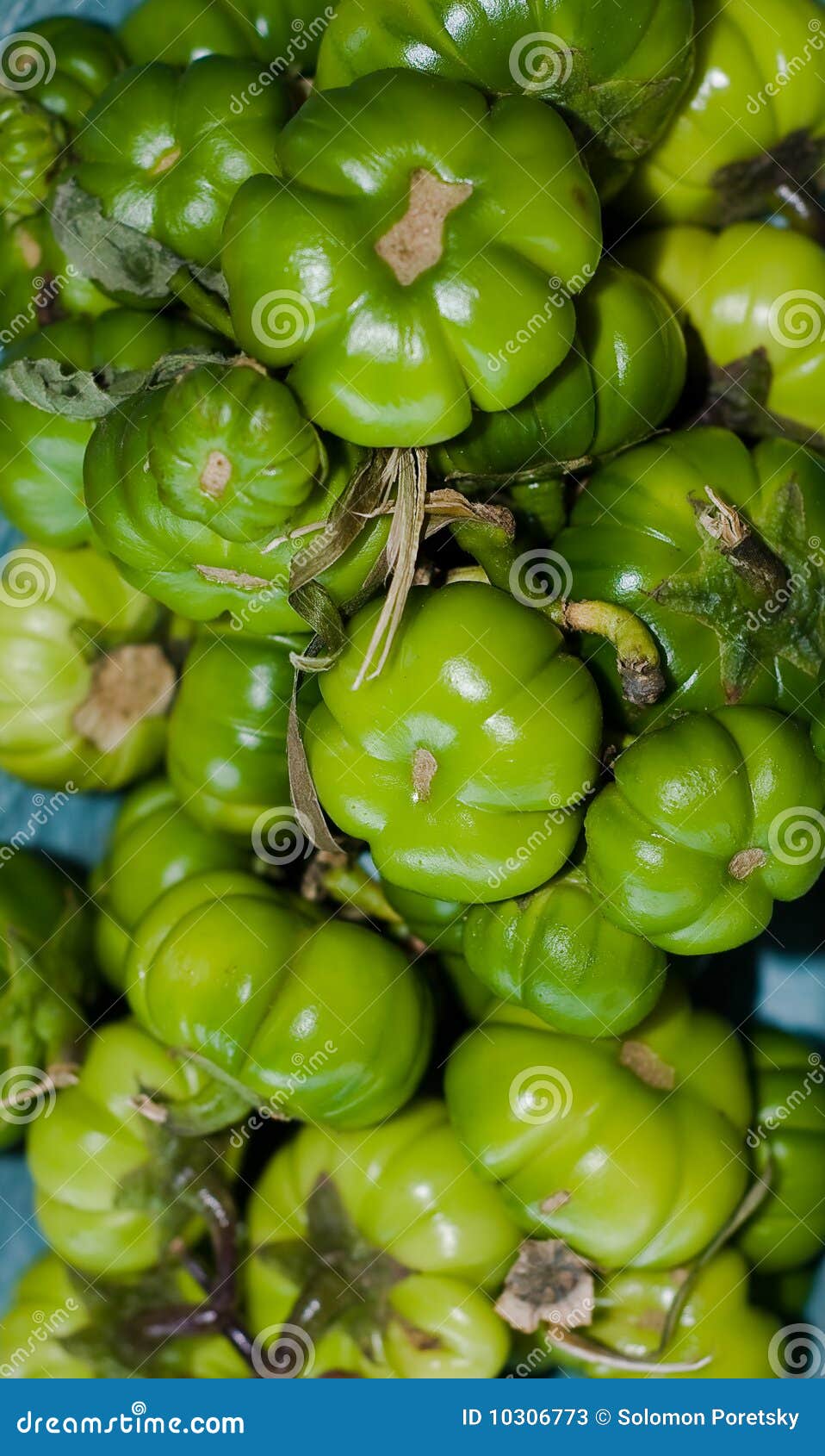 Bitterballs / Eggplants stock image. Image of farmers 10306773