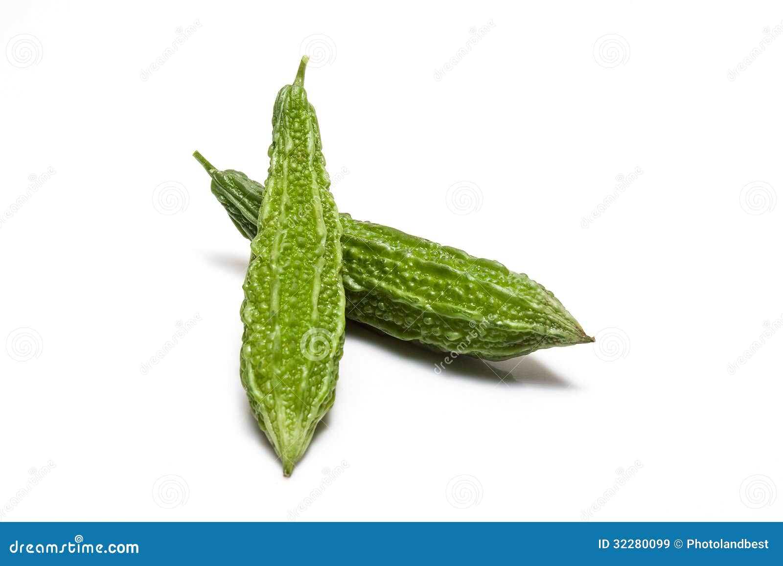 Bittere Melone stockbild. Bild von bitter, frucht, nahrhaft 32280099