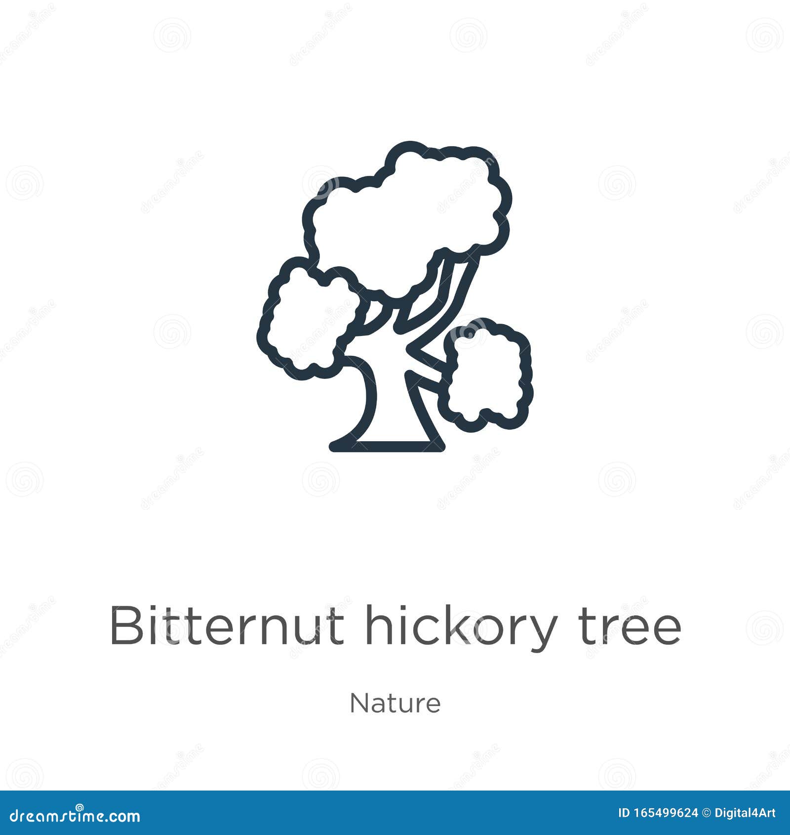 Bitternut Hickory Tree Icon Thin Linear Bitternut Hickory Tree Outline Icon Isolated On White Background From Nature Collection Stock Vector Illustration Of America Beautiful Bitternut Hickory Tree Icon Thin Linear Bitternut Hickory Tree Outline Icon Isolated On White Background From Nature Collection Stock Vector Illustration Of America Beautiful