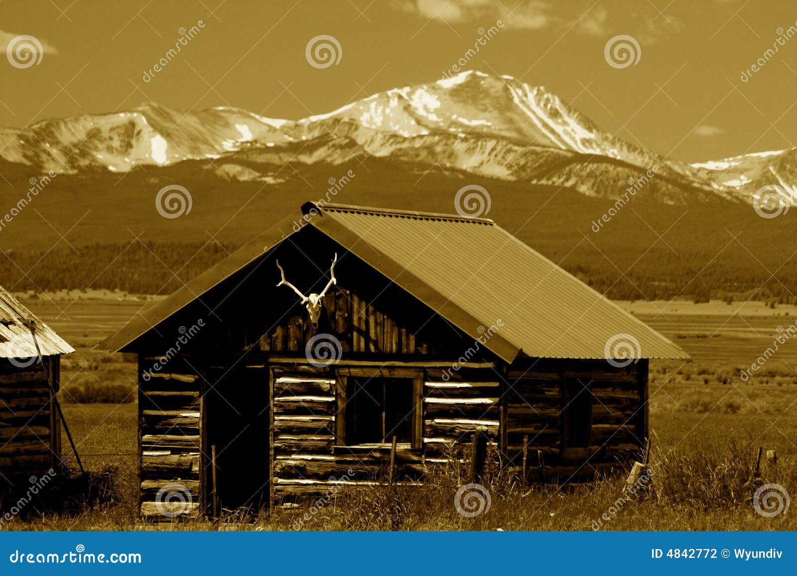 bitterroot mountains montana