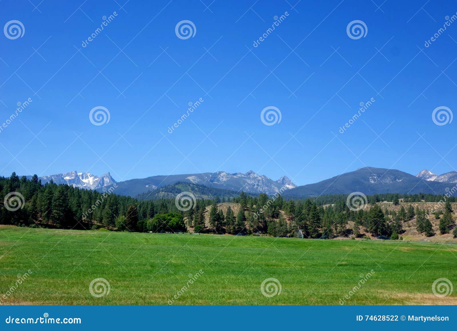 bitterroot mountains near darby, montana