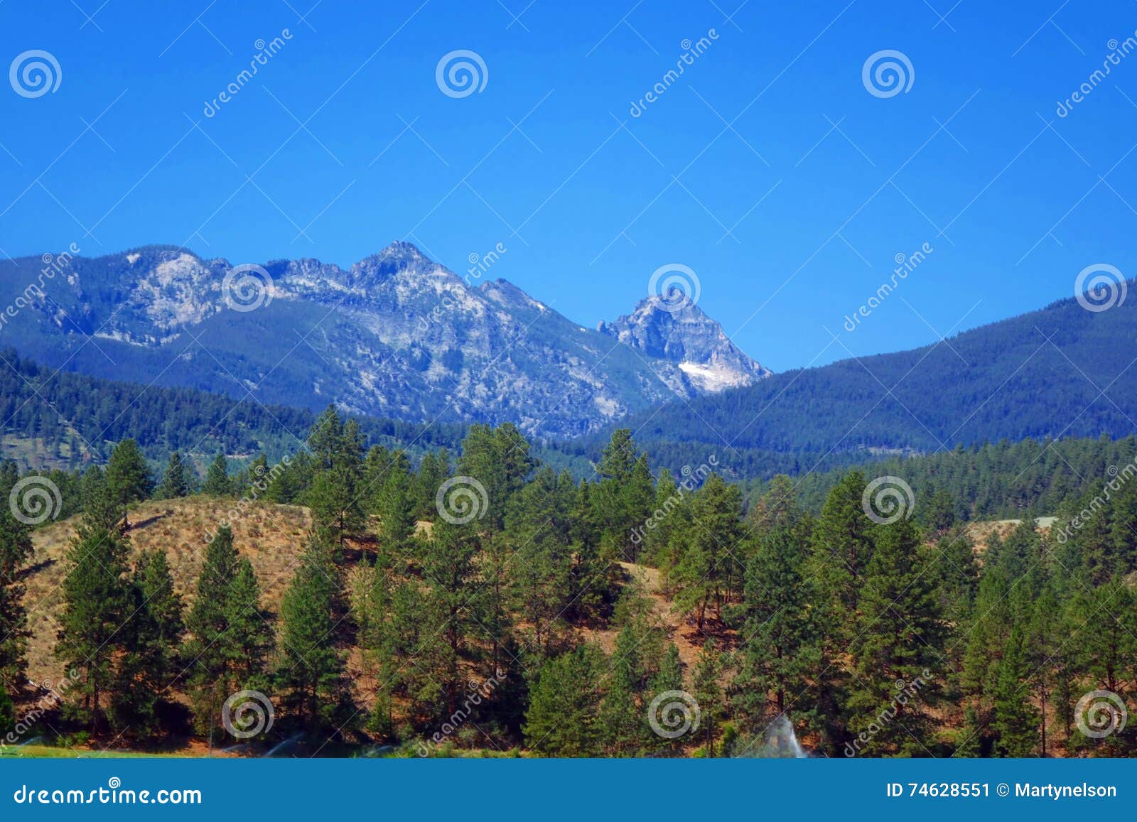 bitterroot mountains near darby, montana