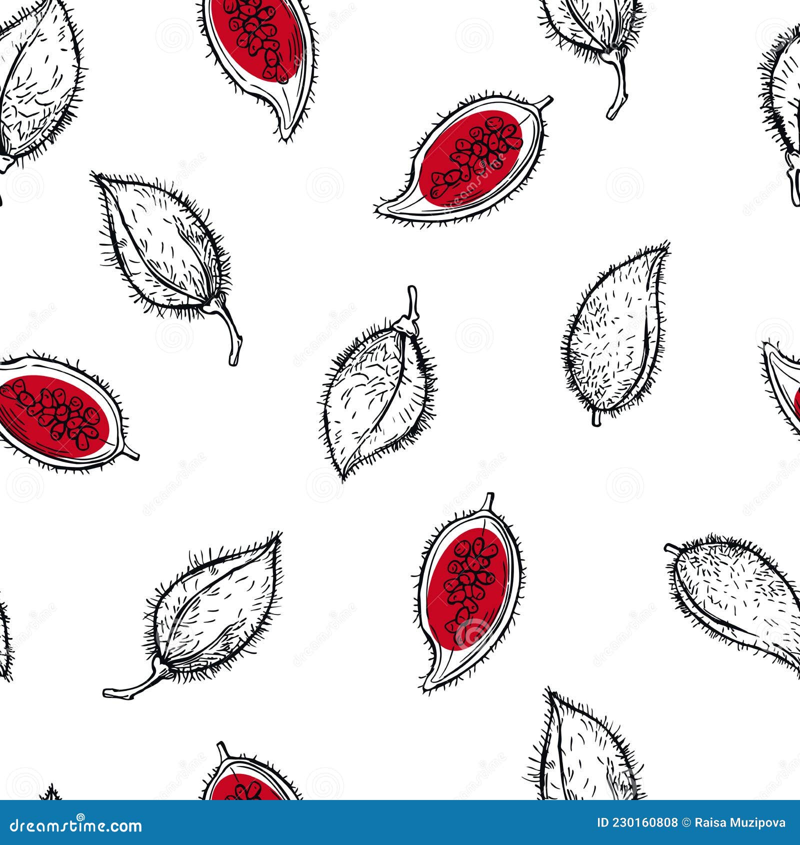 Annatto Lipstick Tree And Dried Seeds. Orangered Condiment And Food