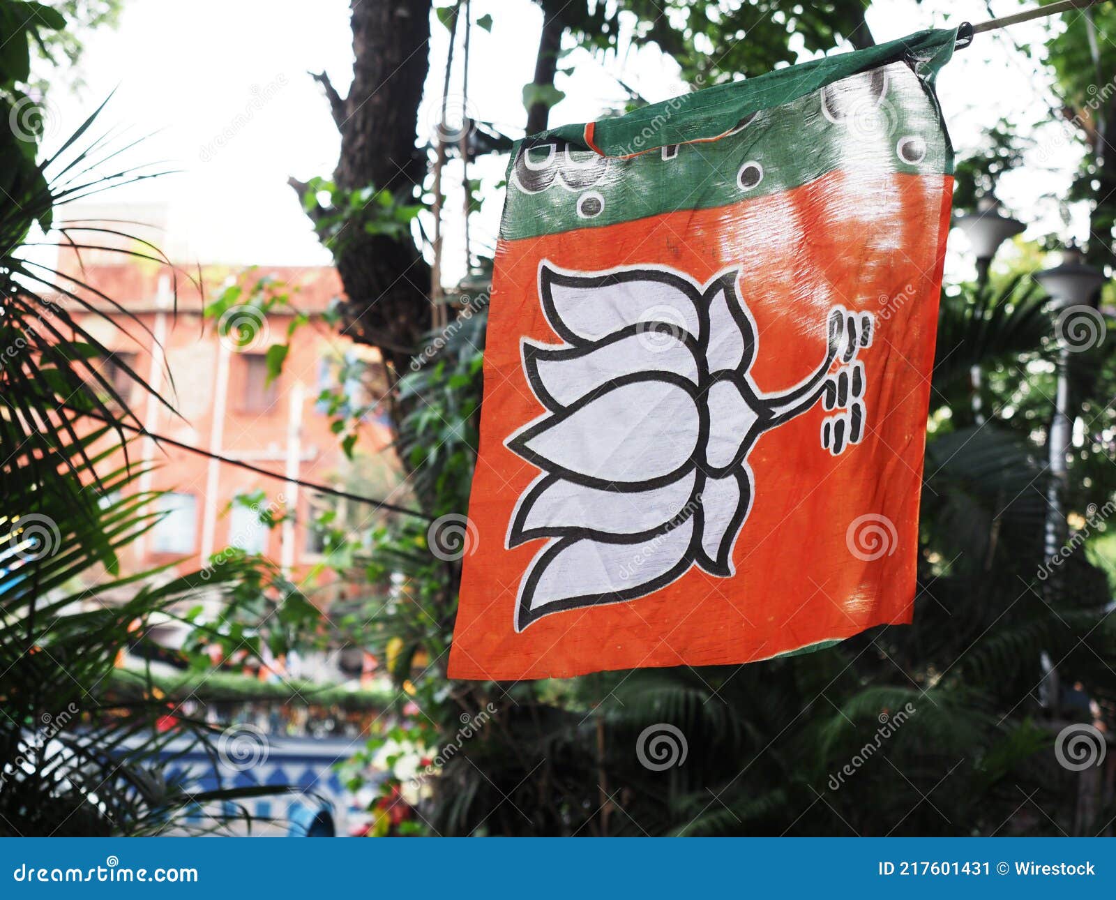 BJP Bhartiya Janta Party Flag Waving India Editorial Photo - Image of  political, happy: 217601431