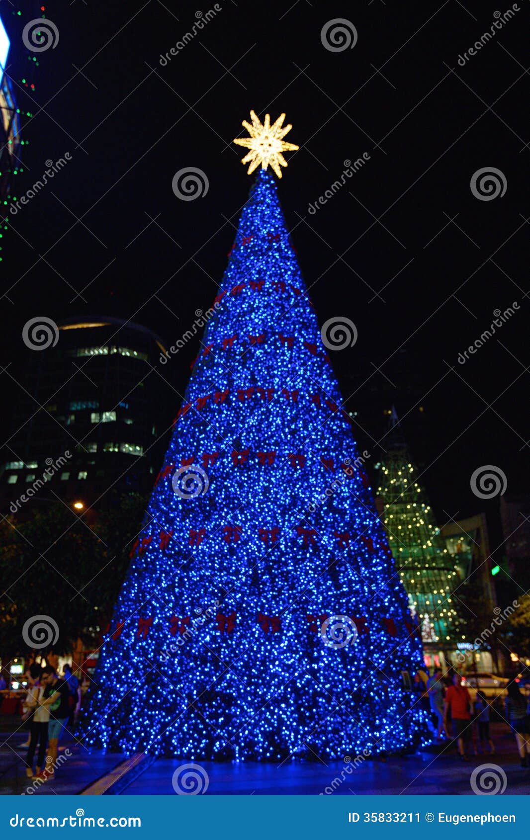 julgran blå Blå julgran redaktionell bild. Bild av väg, nätt, beröm   35833211