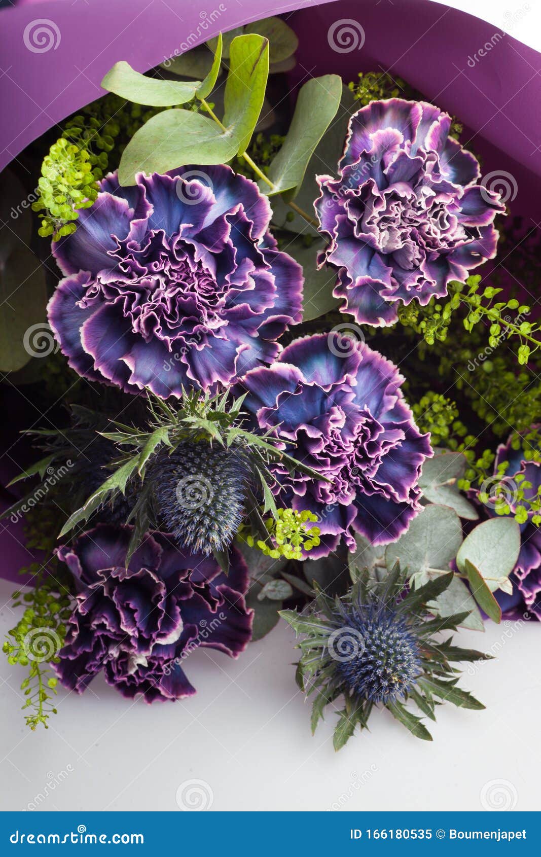 Blutenblumenzusammensetzung Von Nelken Tisteln Und Eukalyptusblattern Blumenstrauss Auf Weissem Grund Stockbild Bild Von Blatt Hell 166180535