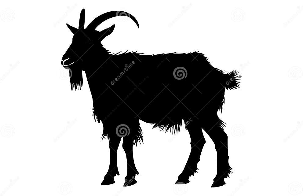 Black Alpine Goat Silhouette, Alpine Ibex Silhouette Illustration Stock ...