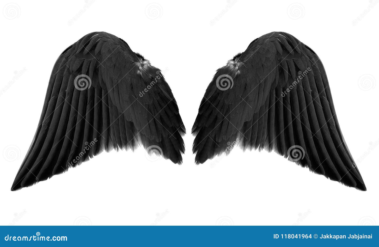 798,114 Black Feather Wing Royalty-Free Images, Stock Photos & Pictures