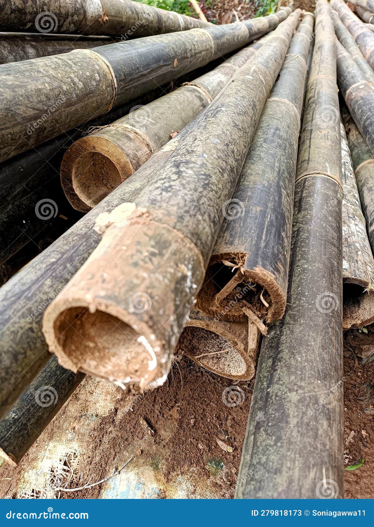Black Bamboo Sticks for Construction Material Stock Image Image of