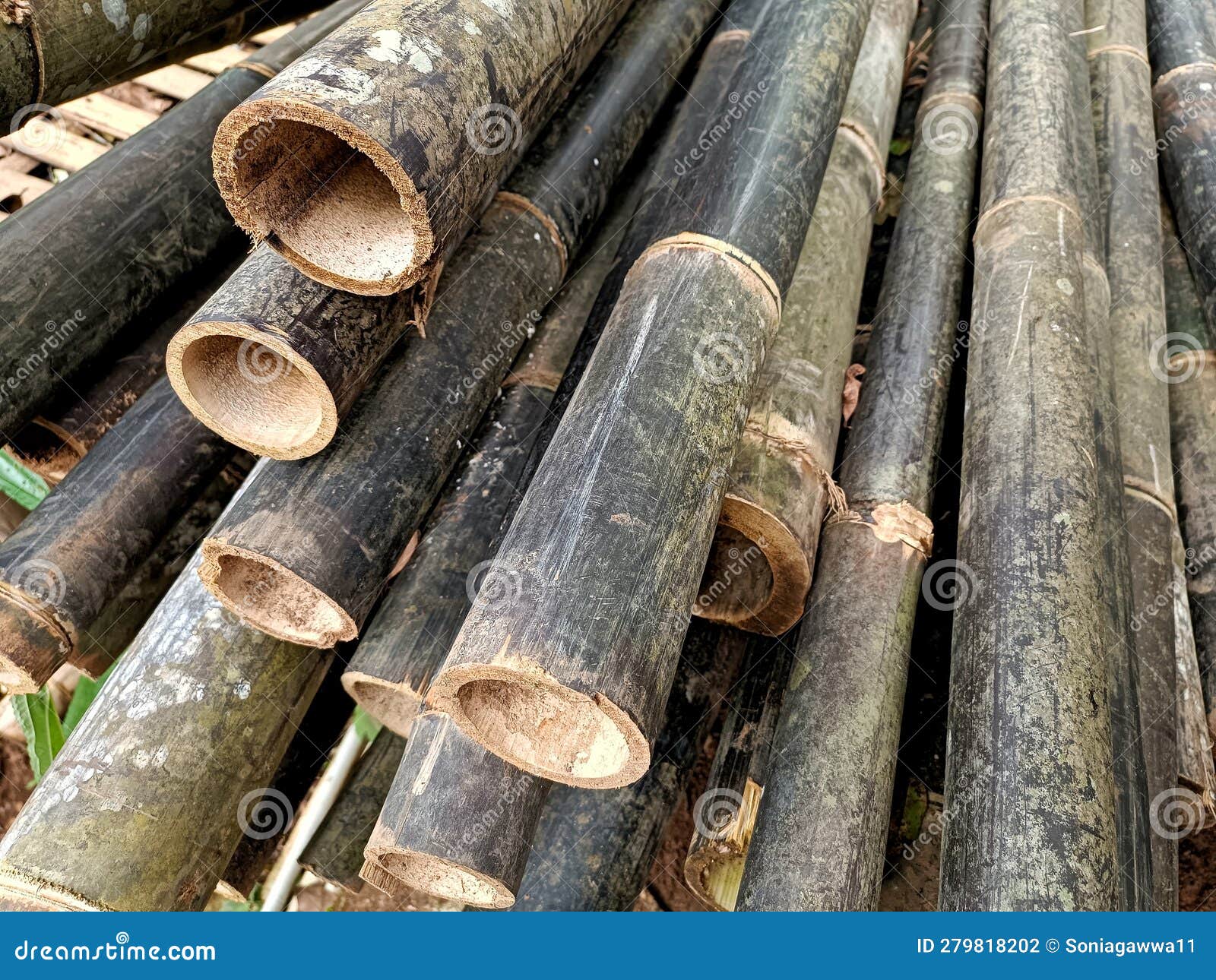 Black Bamboo Sticks for Construction Material Stock Photo Image of