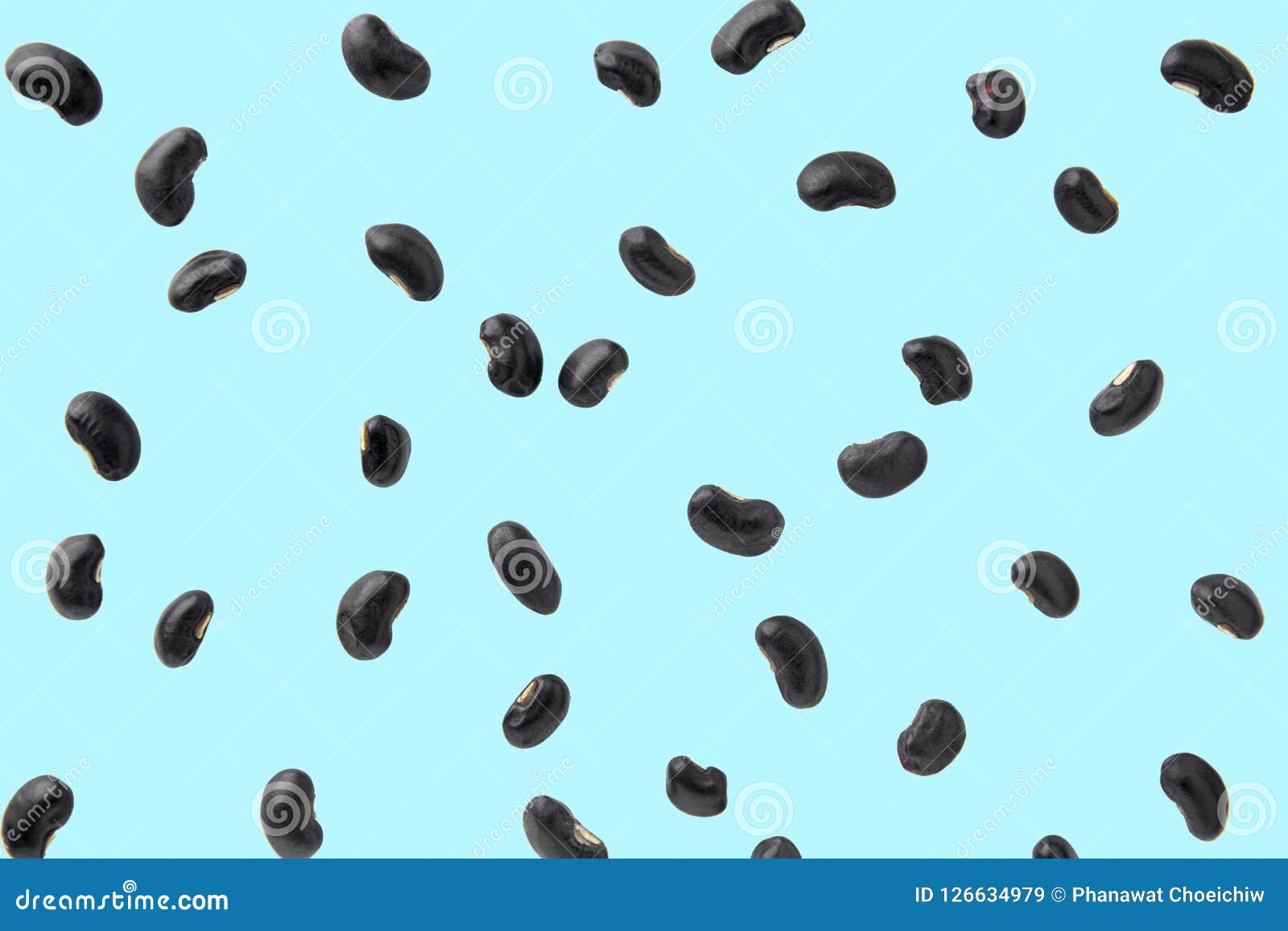 Black Bean on Blue Color Background and Clipping Path. Stock Image