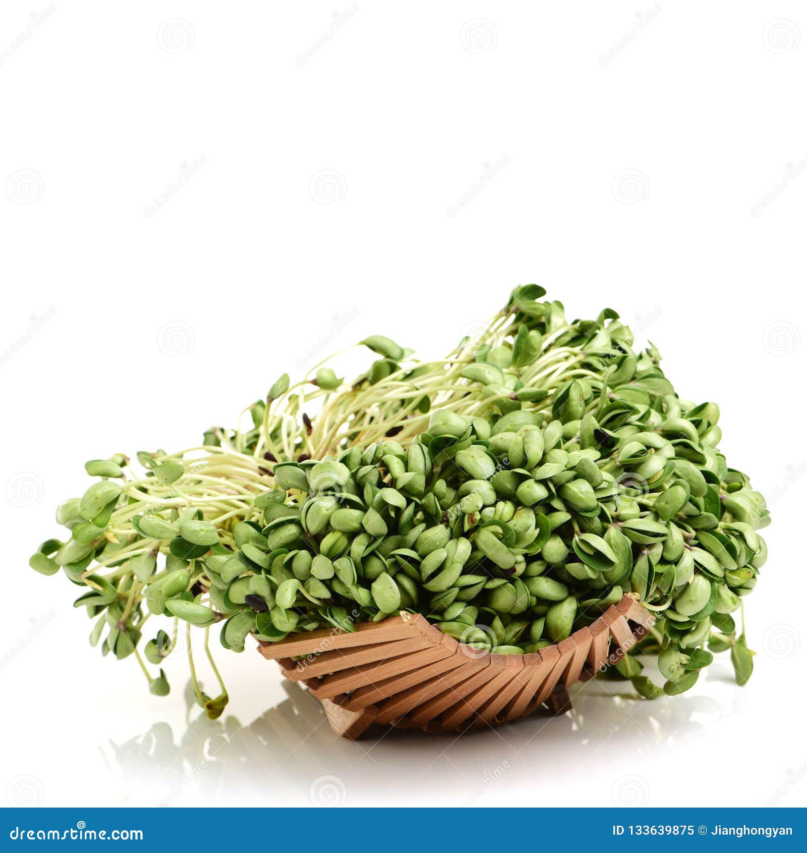 Black bean sprouts stock image. Image of bean, isolated 133639875