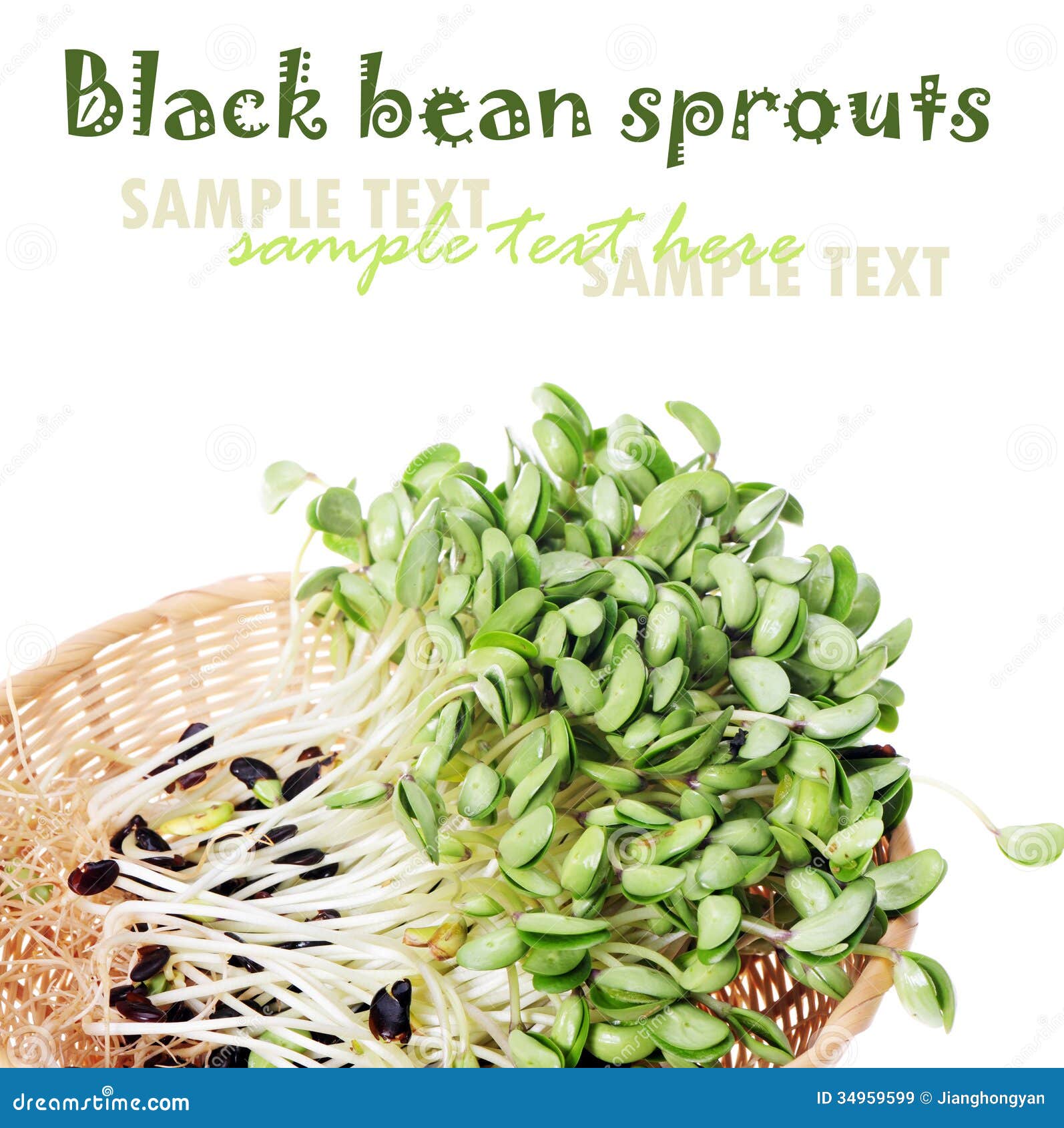 Black bean sprouts stock image. Image of growth, environment 34959599