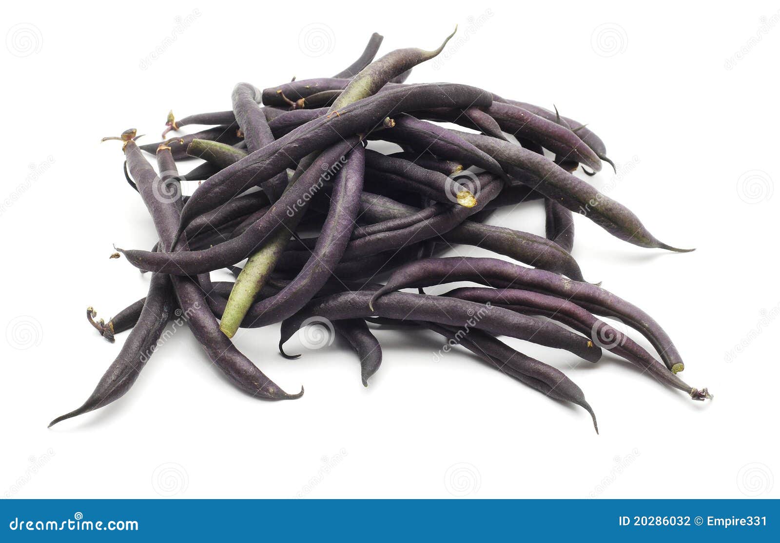 Black beans pods stock photo. Image of pods, heap, vegetarian 20286032