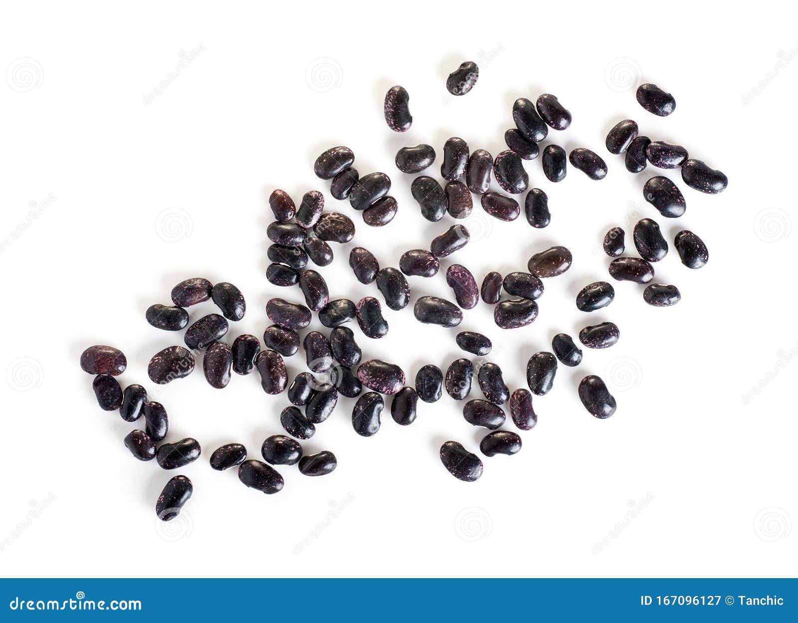 Black Beans Sprinkled Top View Isolated on a White Stock Image Image of cultivar, beans 167096127
