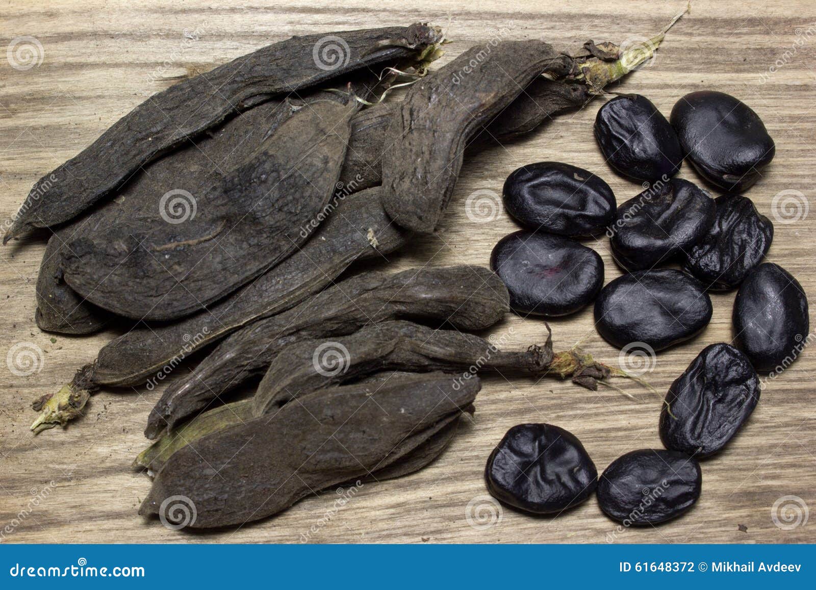 Black beans stock photo. Image of legume, food, uncooked 61648372