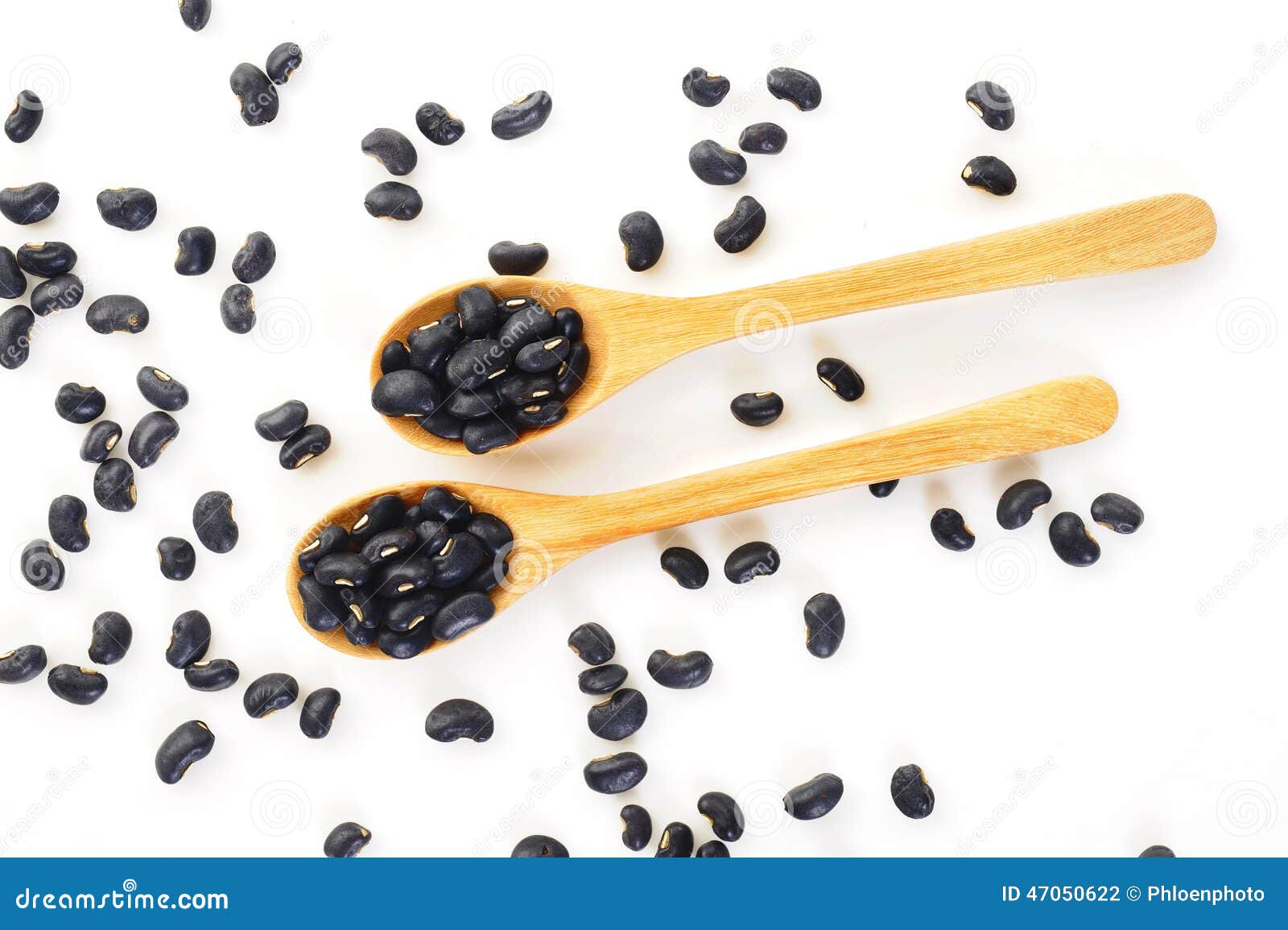 Black beans stock photo. Image of food, bean, seed, fresh 47050622