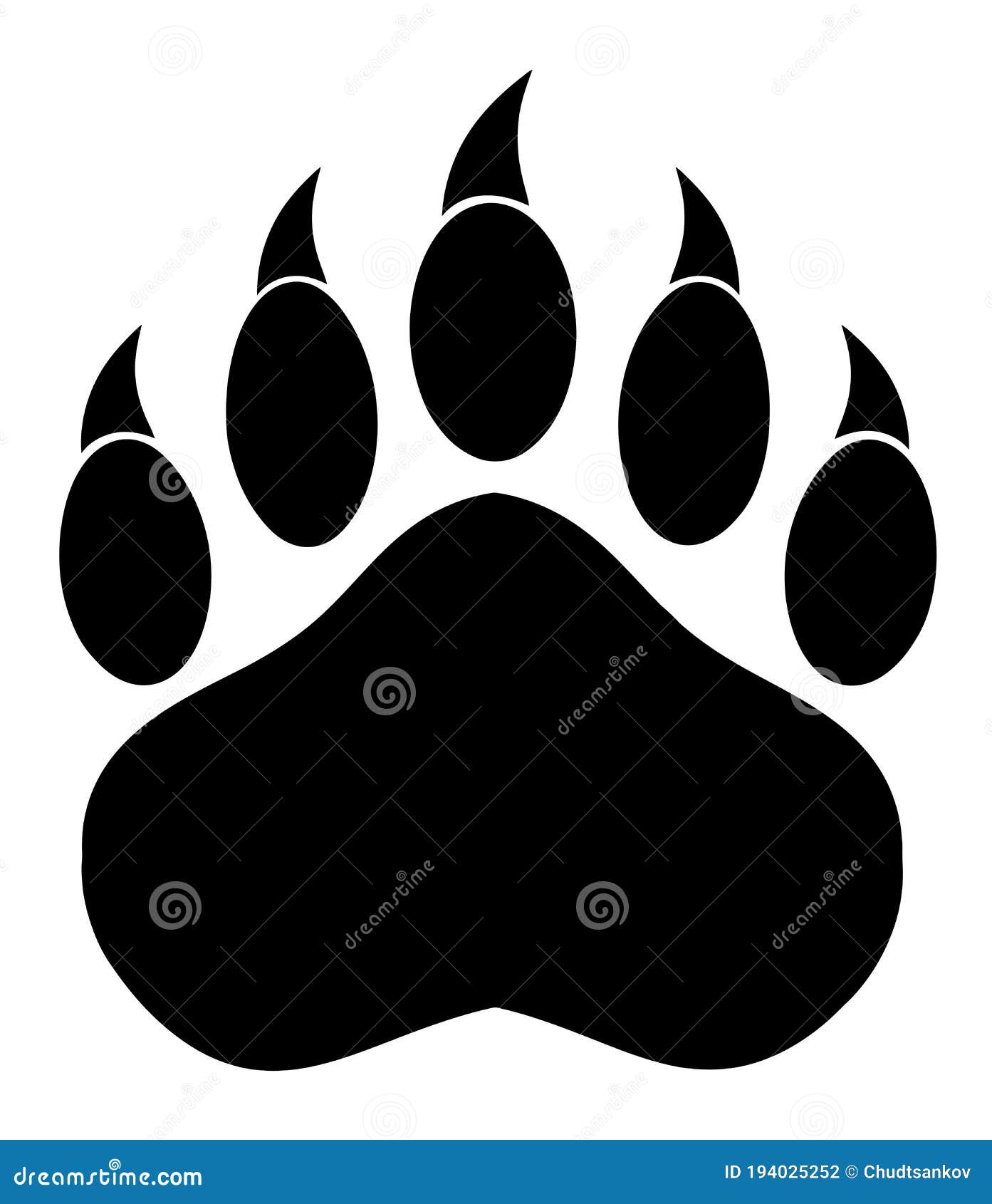 black bear paw with claws