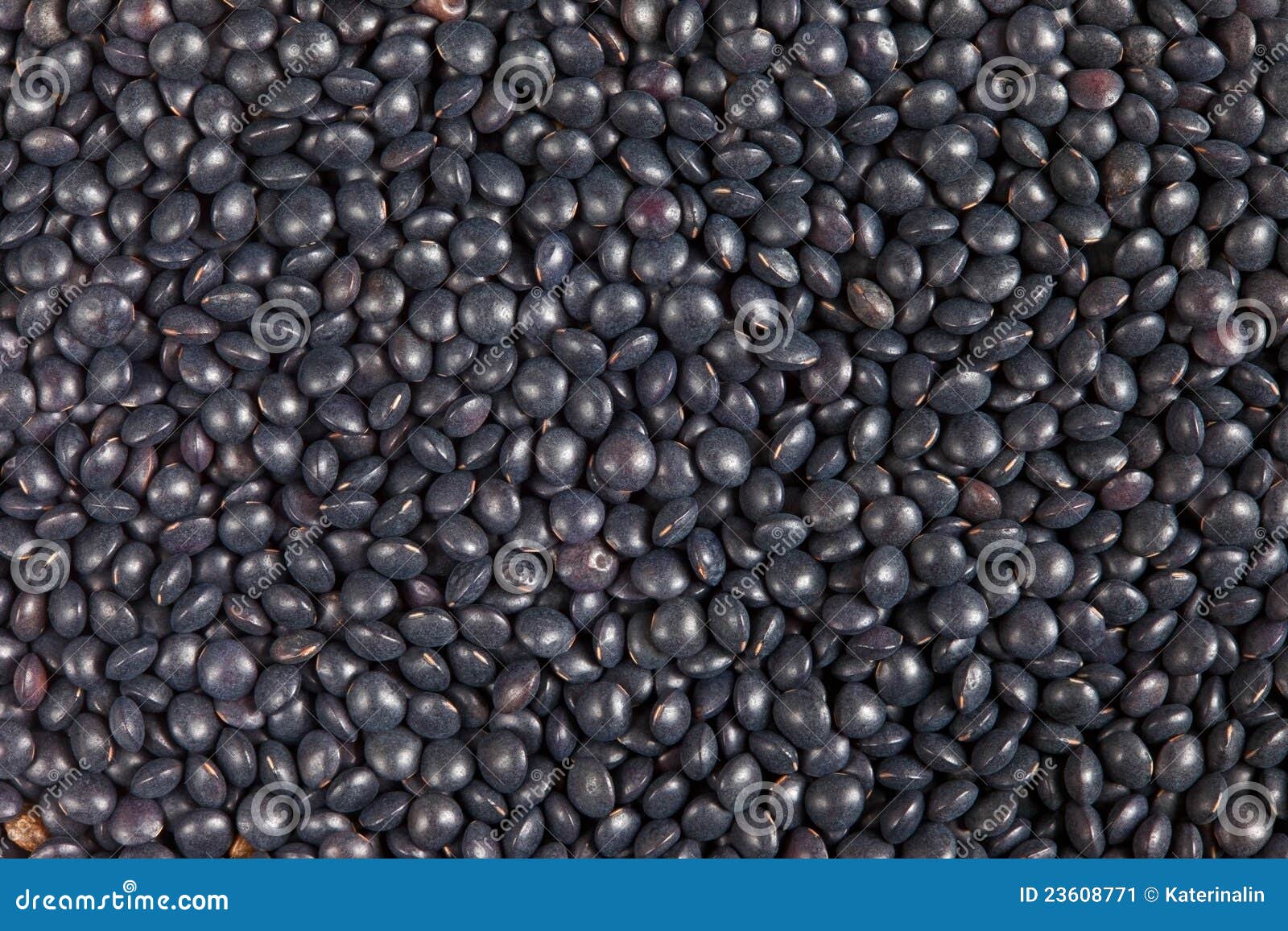 Black Beluga Lentils stock image. Image of bean, group 23608771
