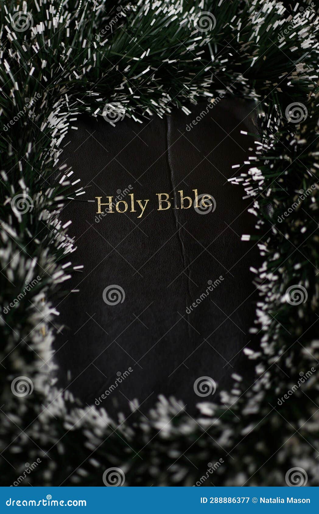 Black Bible Wrapped Around with Garlands Stock Image Image of baby