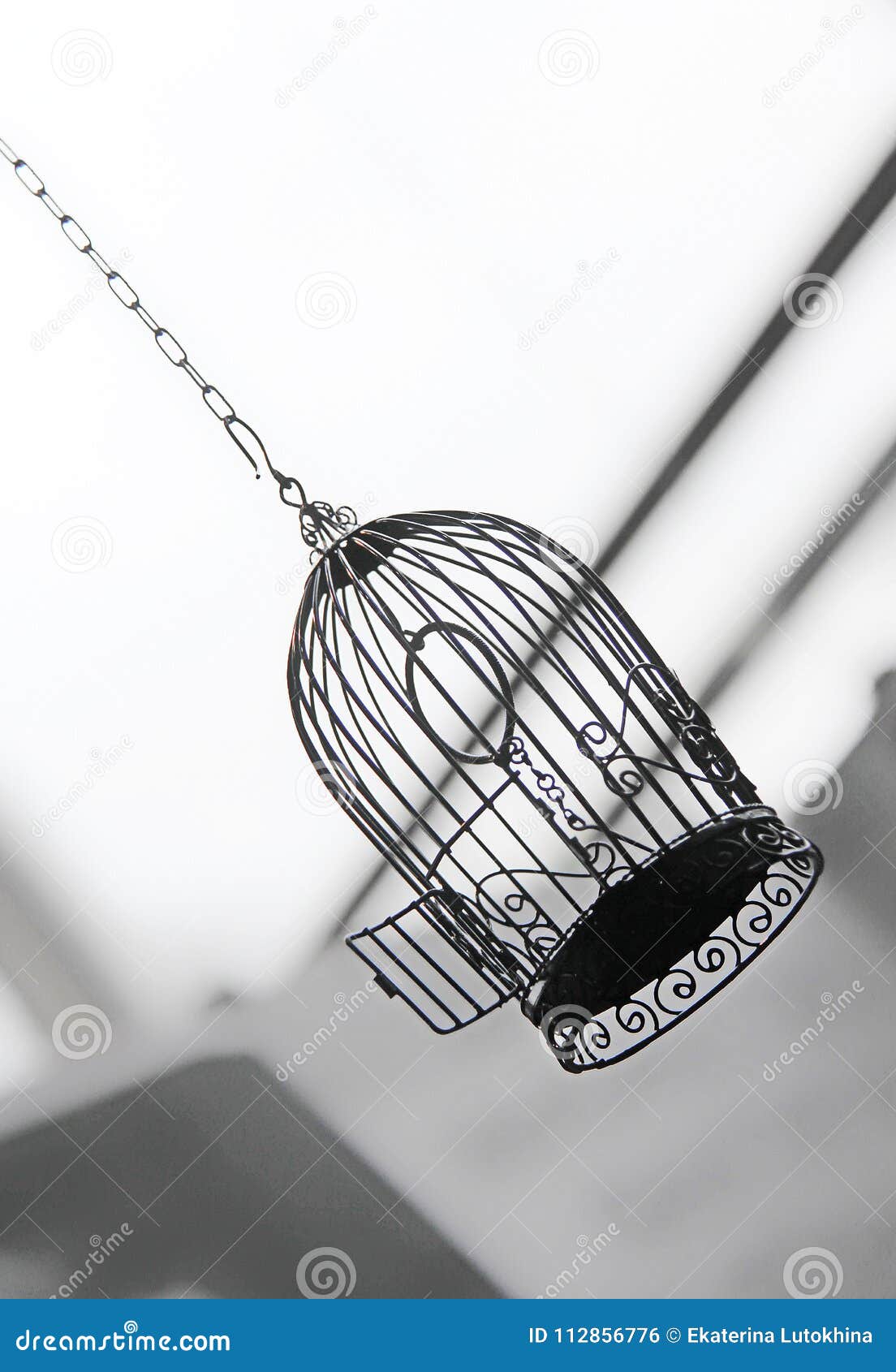 Open cage door for birds stock photo. Image of decor - 112856776