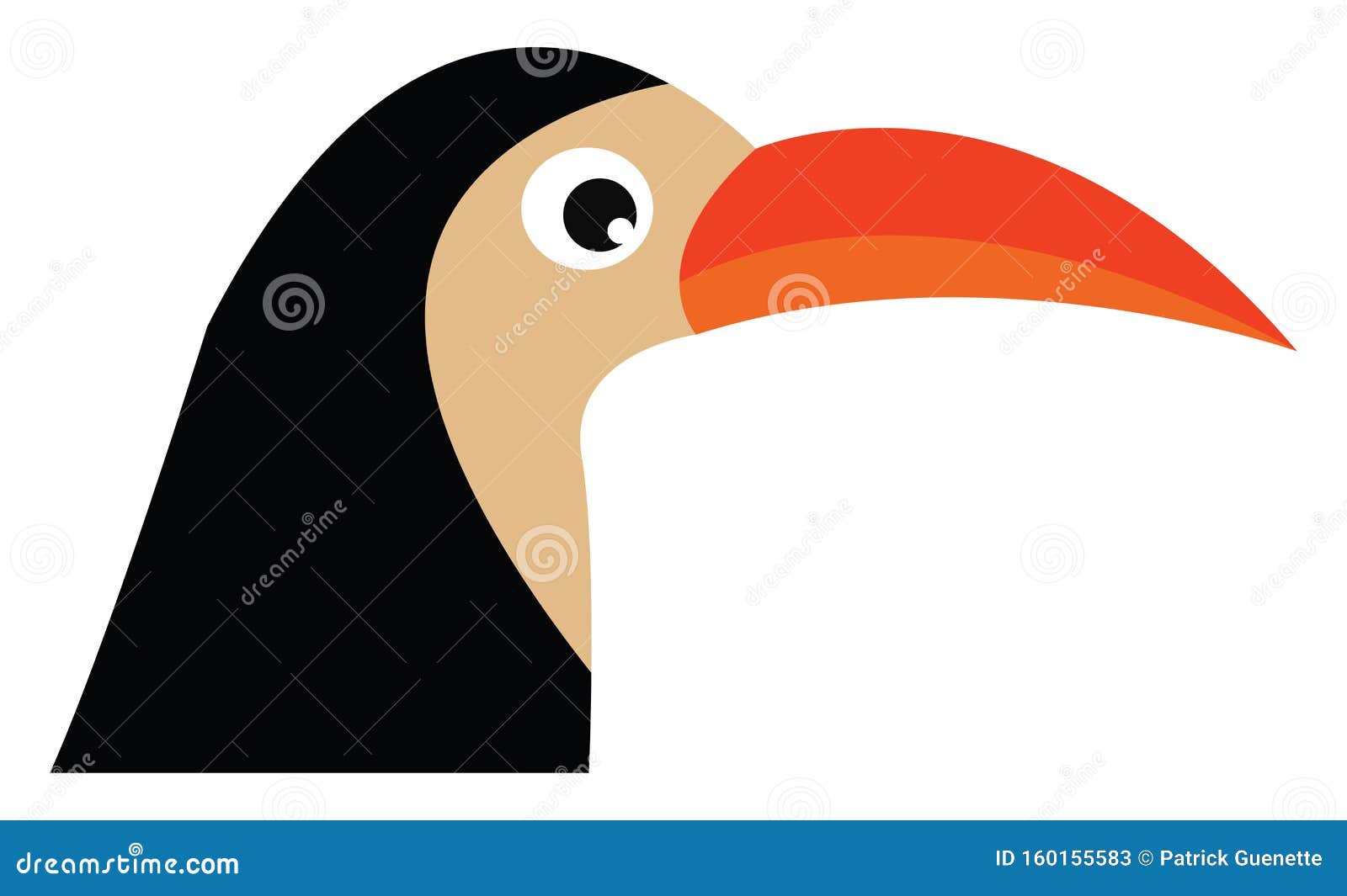 bird with orange beak  or color 