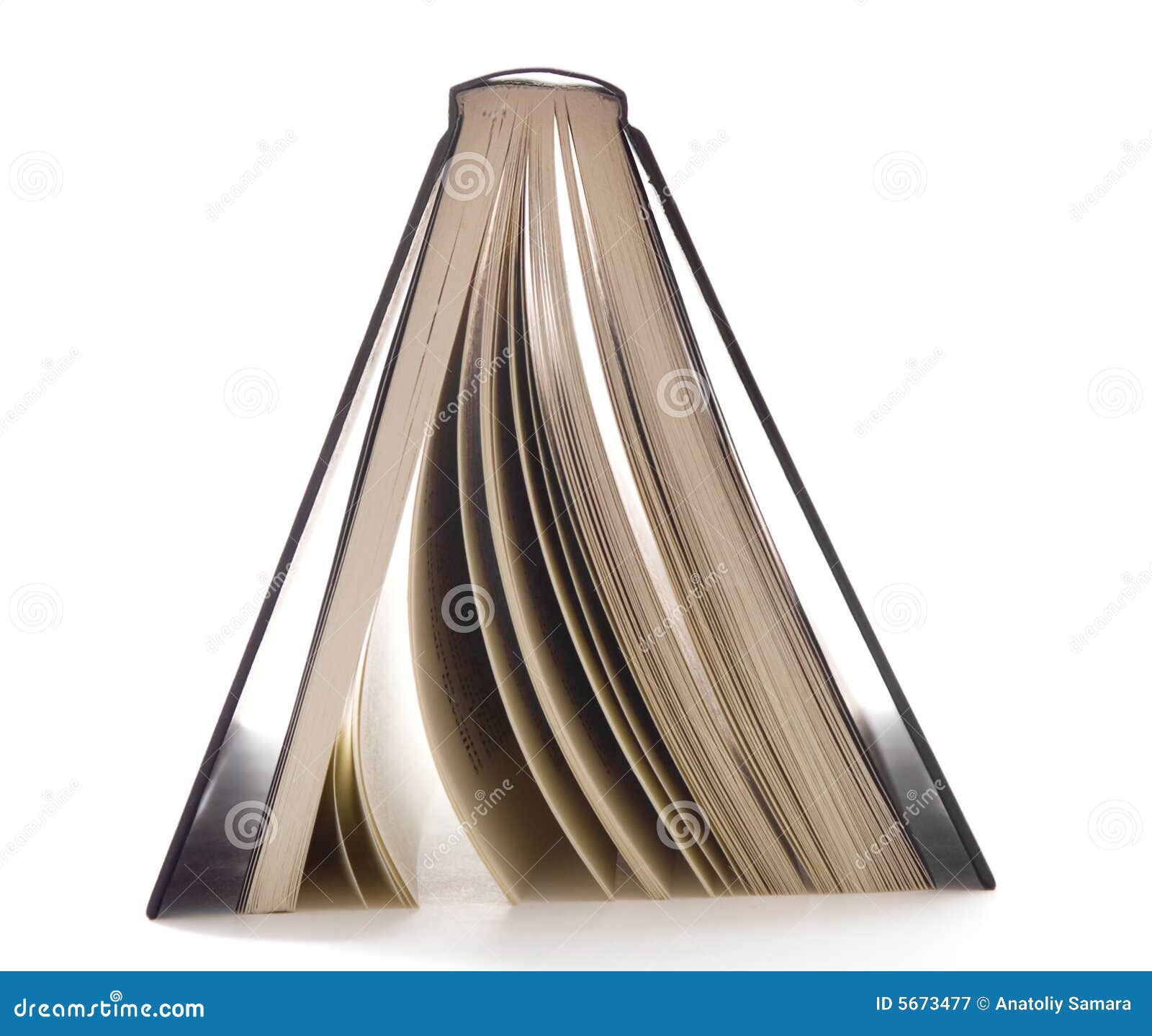 Upside down open book illustration #AD , #open, #book
