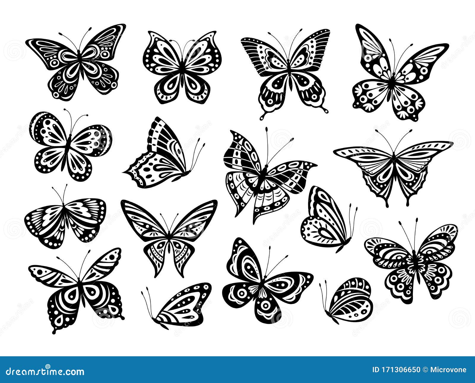 This is How to Draw a Butterfly in 10 Steps | Skillshare Blog