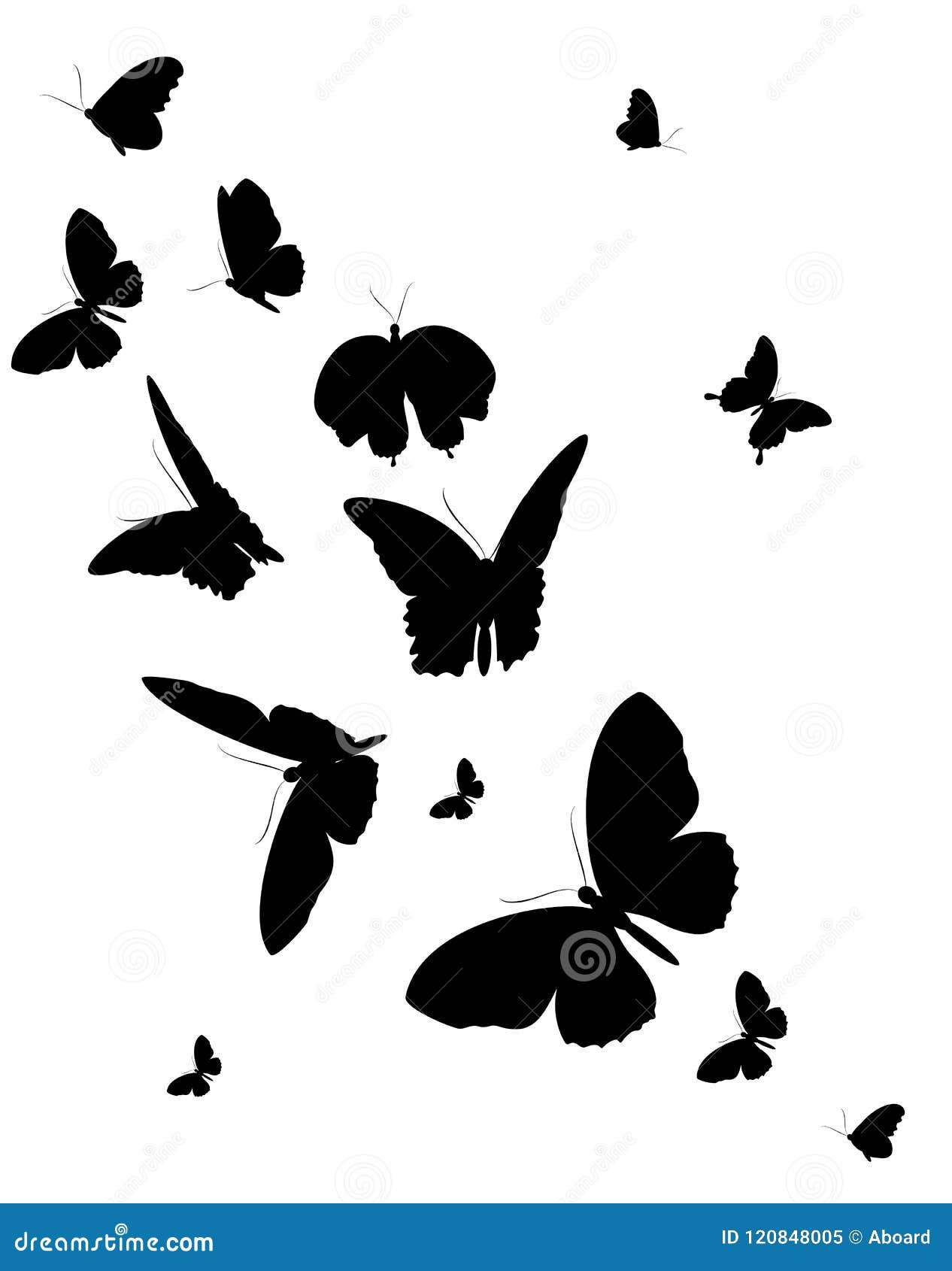 Black Butterfly, Isolated on a White Stock Vector - Illustration of flower,  unusual: 120848005