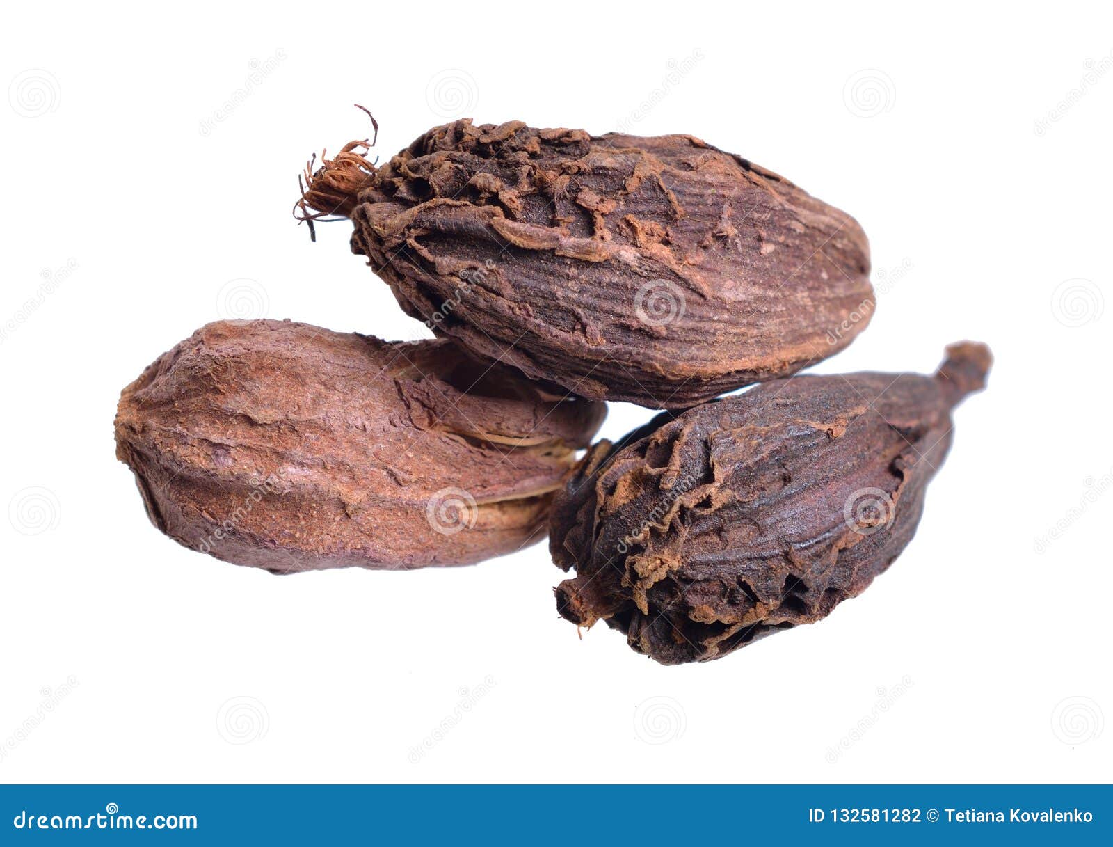 black cardamom, also known as hill cardamom, bengal cardamom, greater cardamom, indian cardamom, nepal cardamom, winged cardamom,