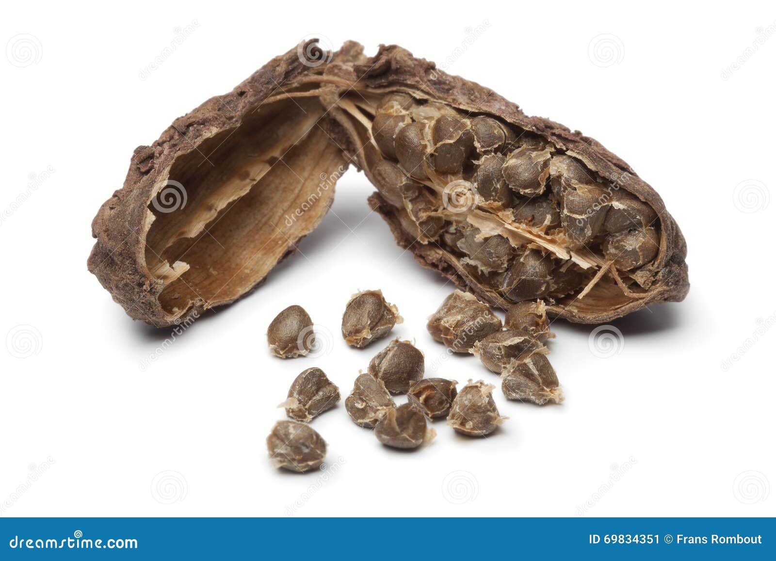 180 Black Cardamom Fruit Seeds Stock Photos Free & RoyaltyFree Stock