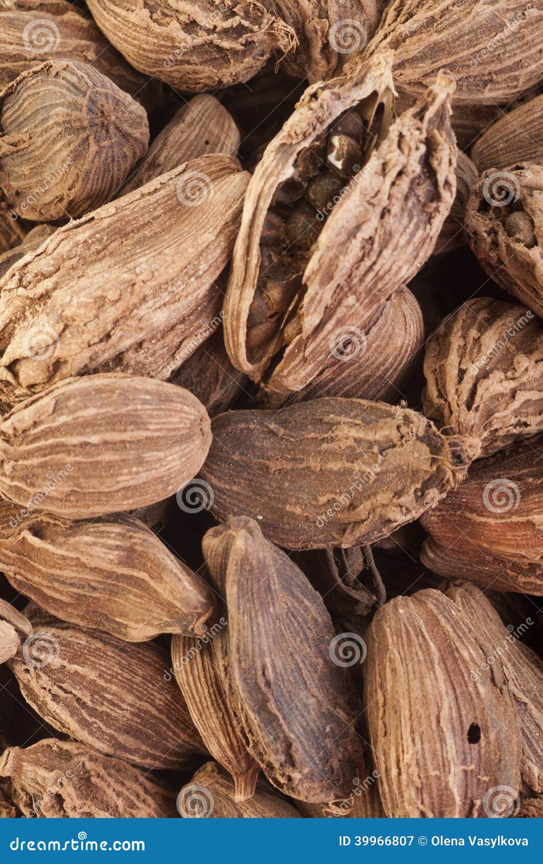 Black cardamom pods stock image. Image of seed, aromatic 39966807