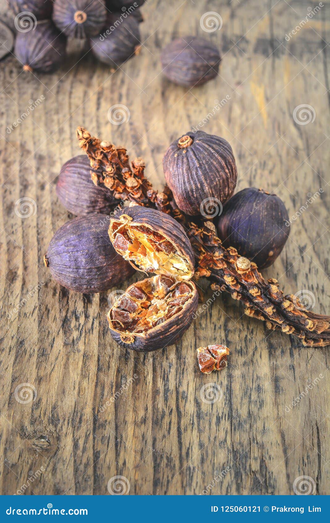 Black cardamom pods. stock image. Image of flavor, black 125060121
