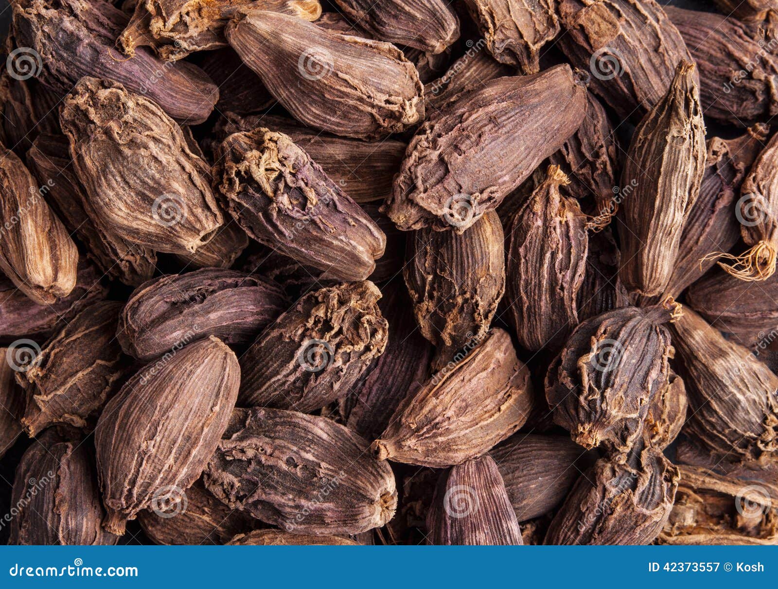 Black cardamom pods stock image. Image of background 42373557