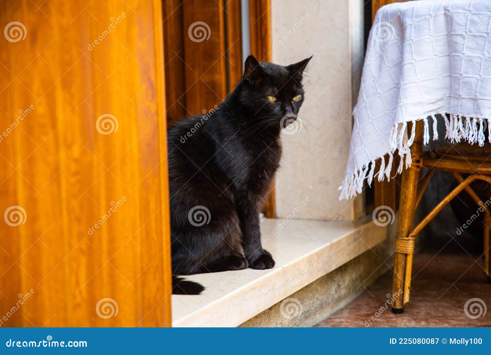 Black Cat on the Doorstep and on the Table Stock Image Image of