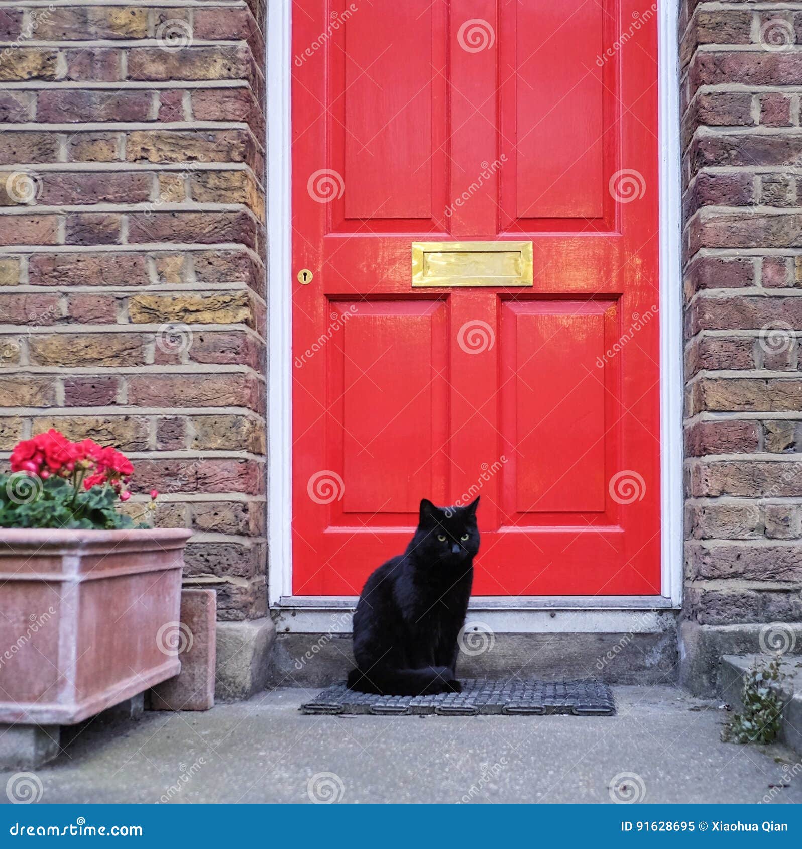 Black Cat in Front of Red Door Stock Image Image of pets, wonder