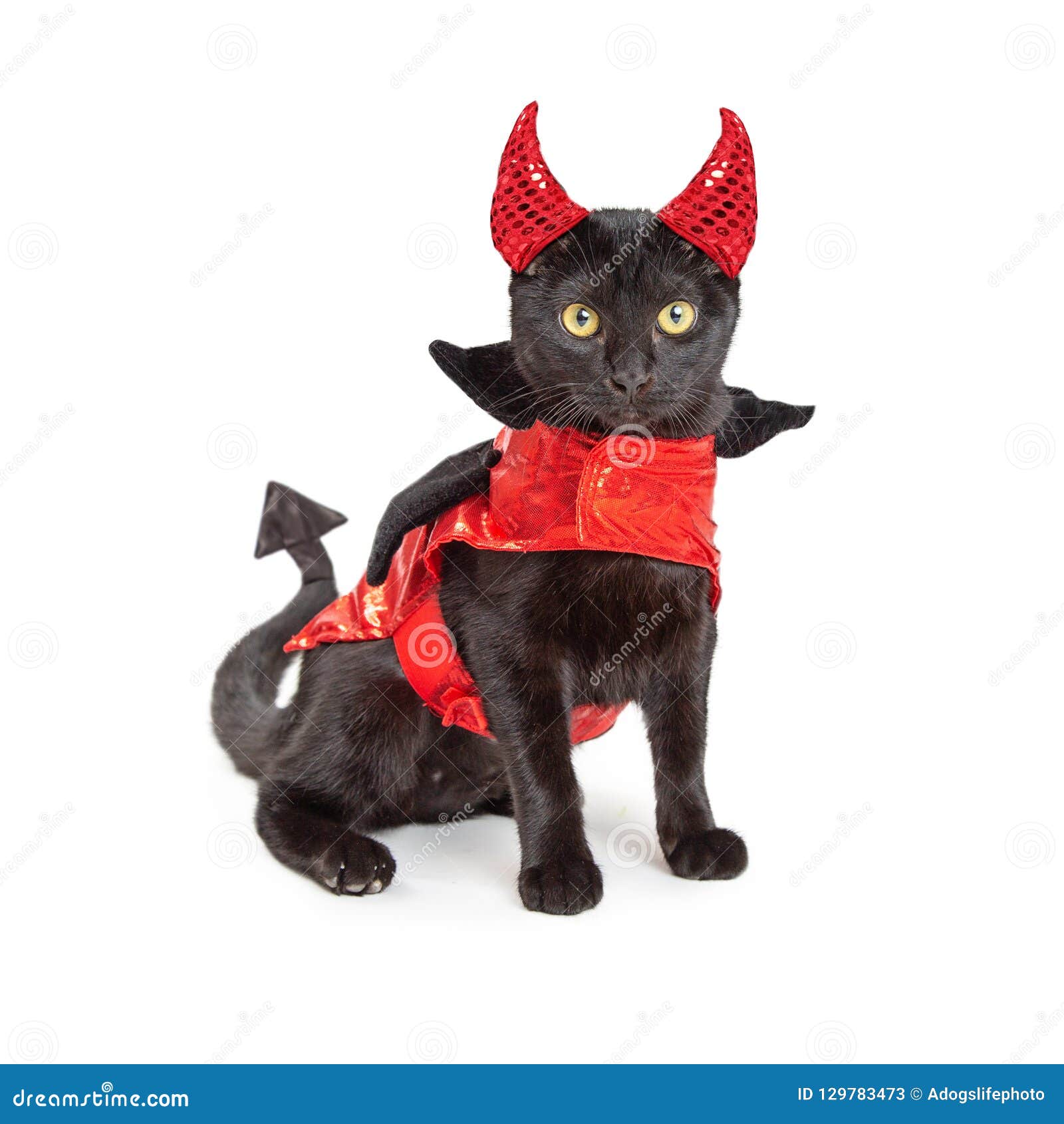 Devil Cat Sequin Tail All Kinds Fancy Dress Halloween 
