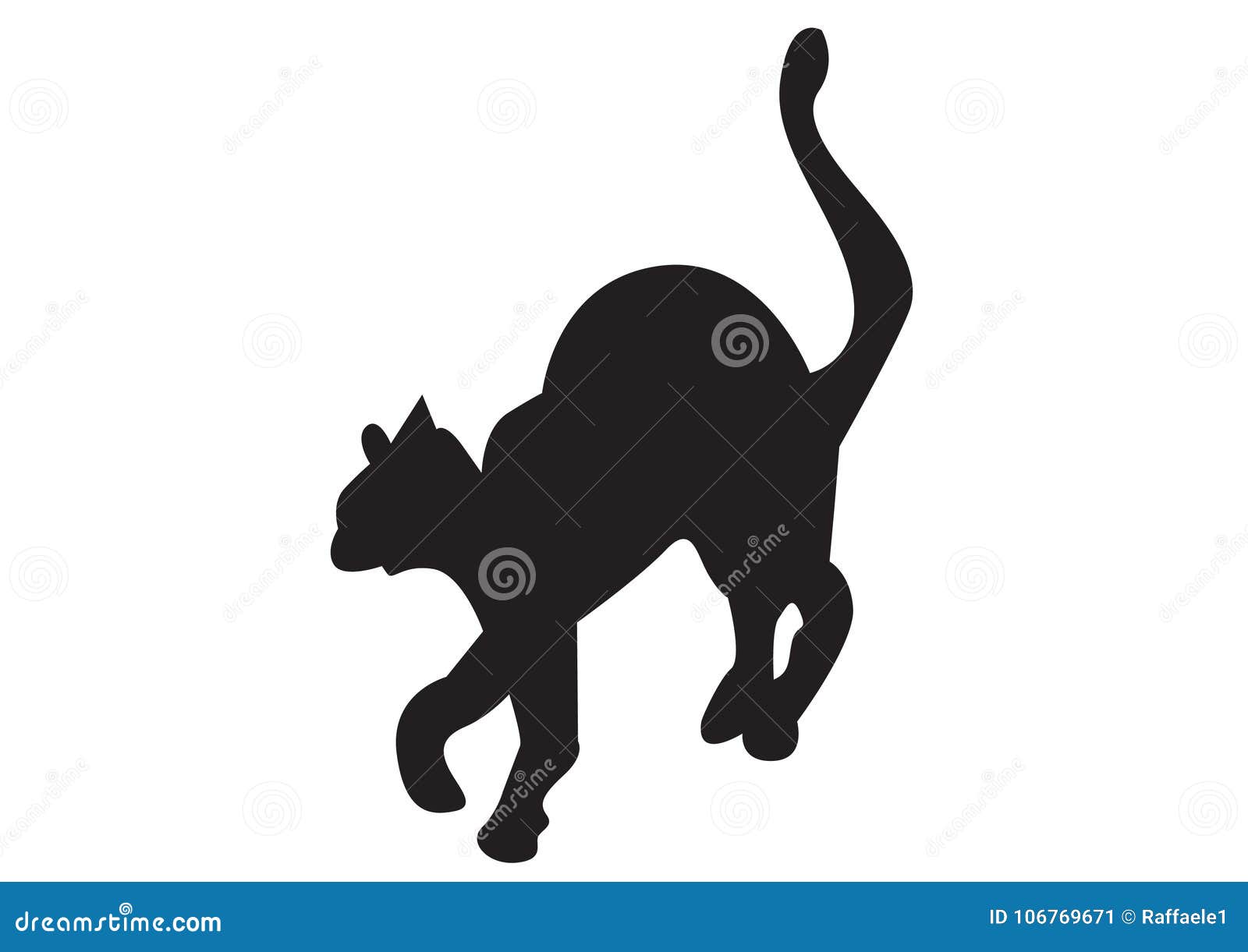 black cat  ial