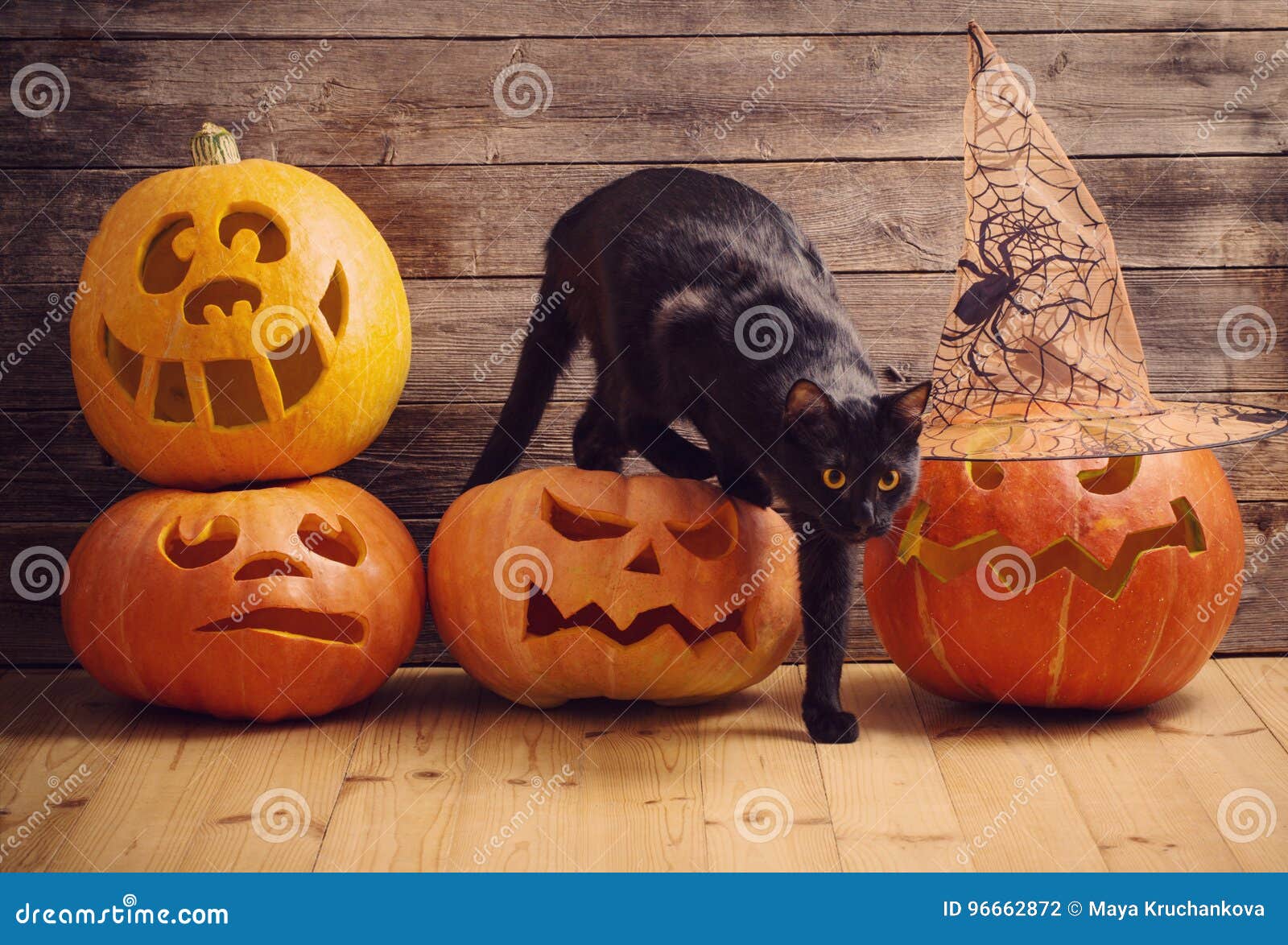 10 703 Cat Halloween Photos Free Royalty Free Stock Photos From Dreamstime