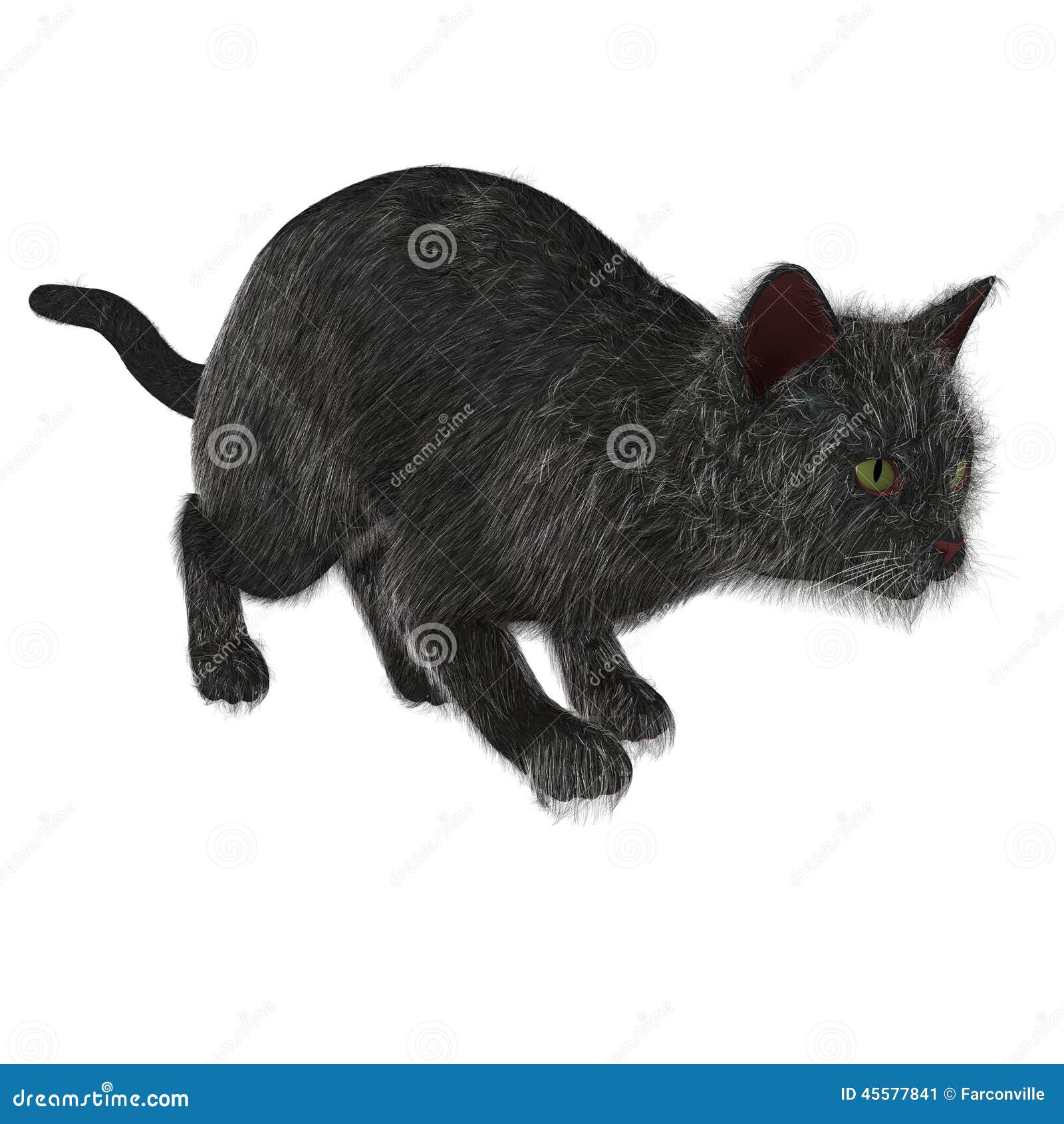 Black Cat  Pounce  stock illustration Illustration of luck 