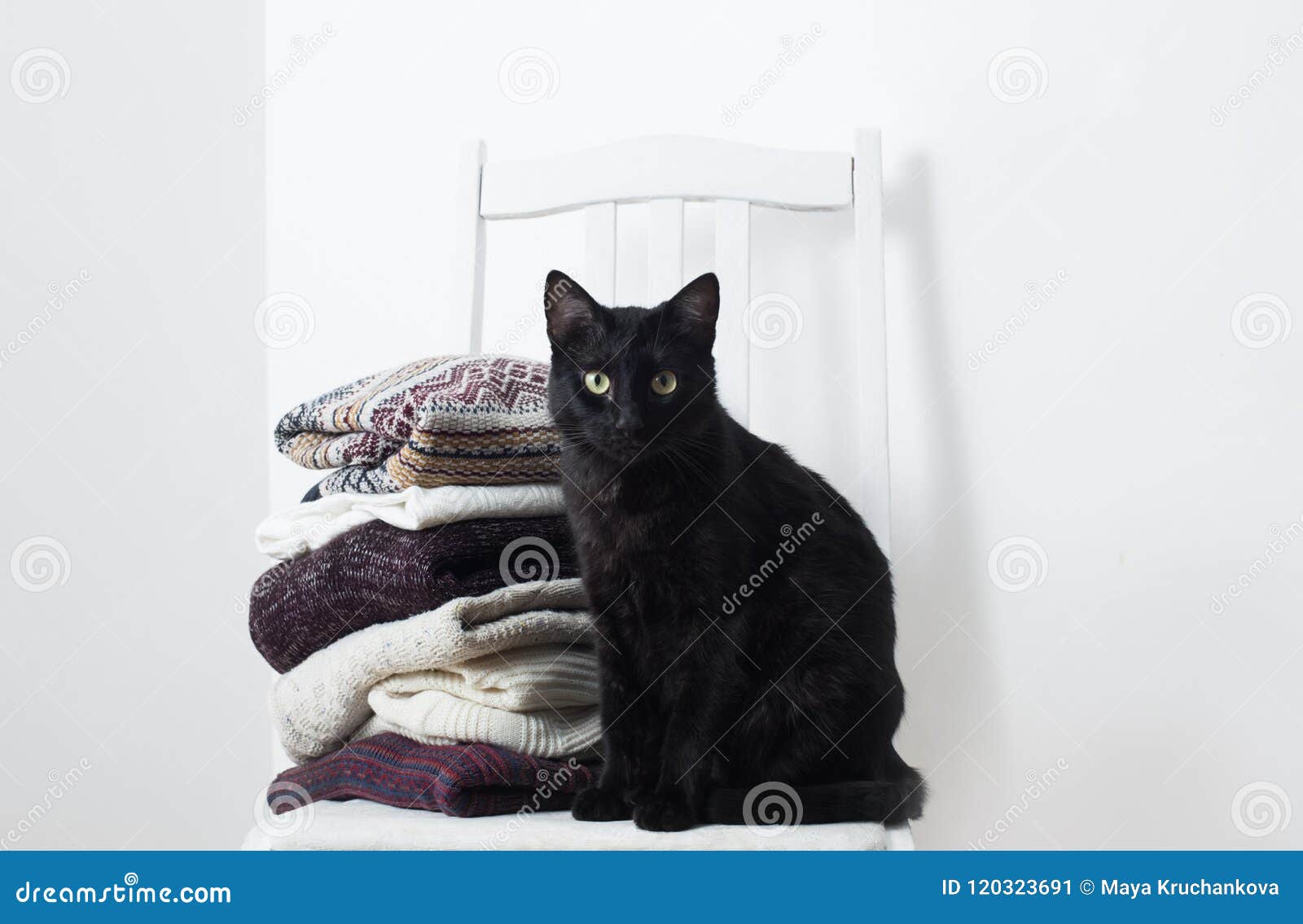 black cat black clothes