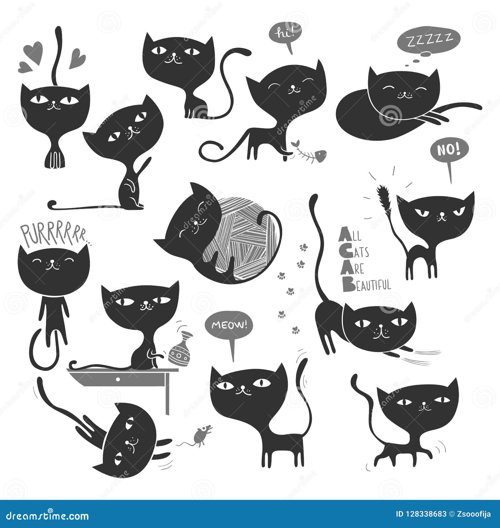 13 black cats