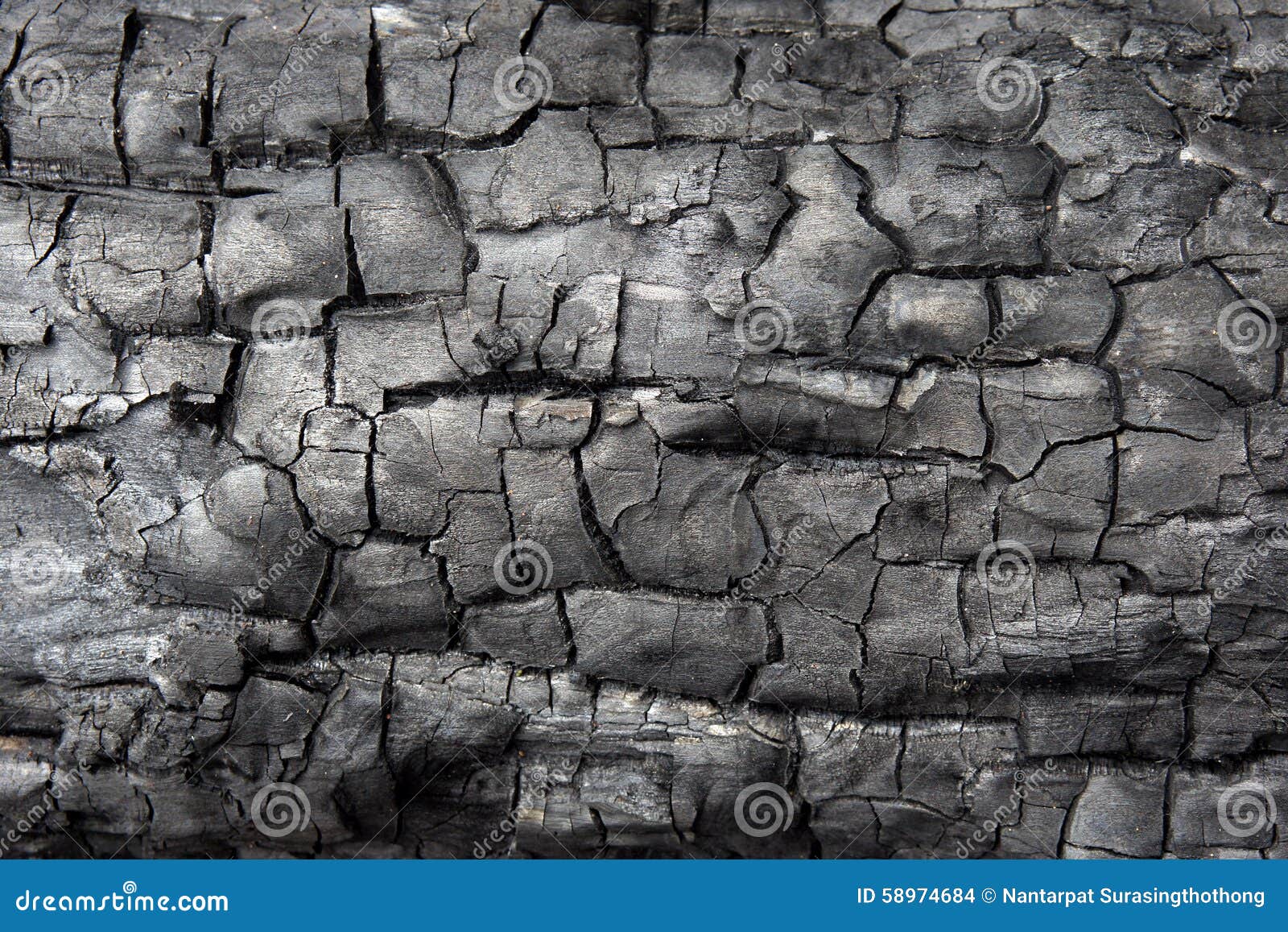 Black Charcoal Texture Background. Burnt Wood Texture Stock Photo