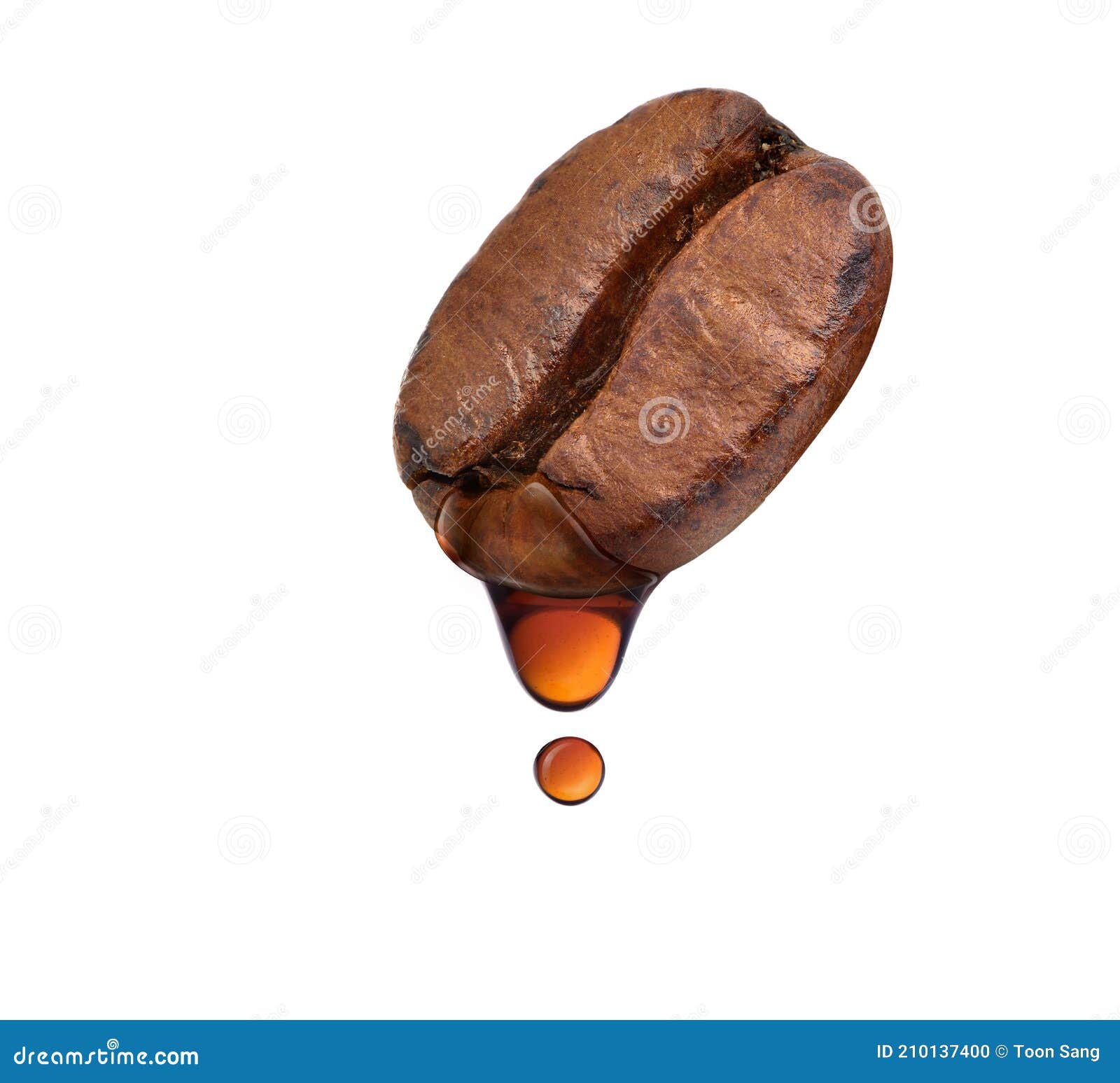 Black Coffee Drops Dripping from Coffee Bean Stock Photo Image of