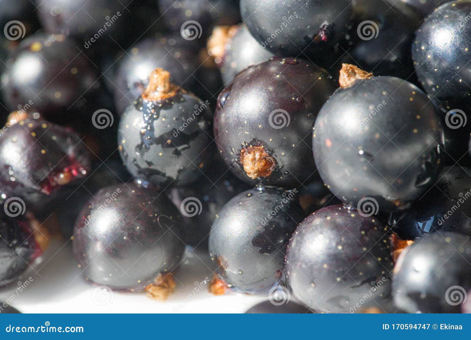 black currant, blackcurrant, blackberry. vitamin c and polyphenol phytochemicals.  they are used to make jams, jellies and syrups