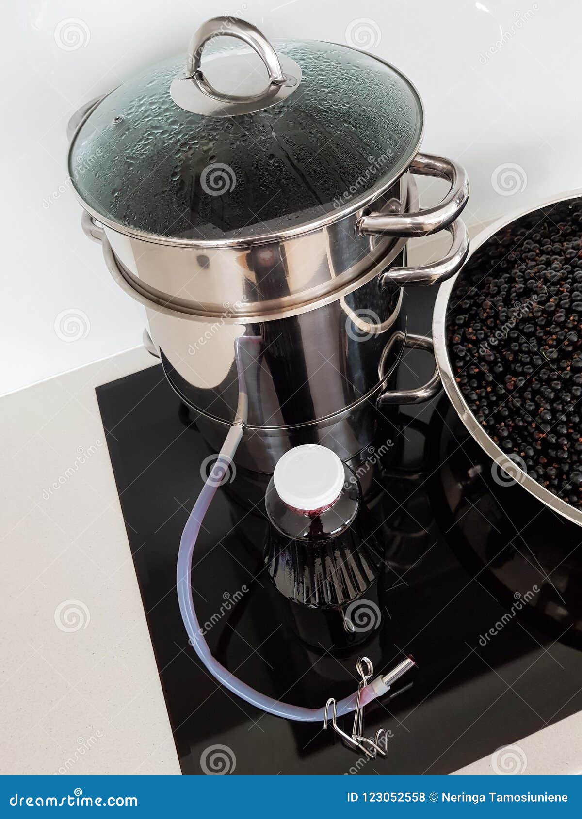 Black Currant Juice Making by Steam Juicer Pot in the Kitchen Stock Photo -  Image of plant, country: 123052558