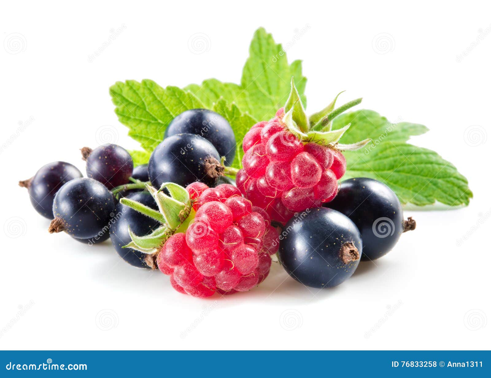 Black Currant With Raspberry Isolated On White Stock Photo Image of