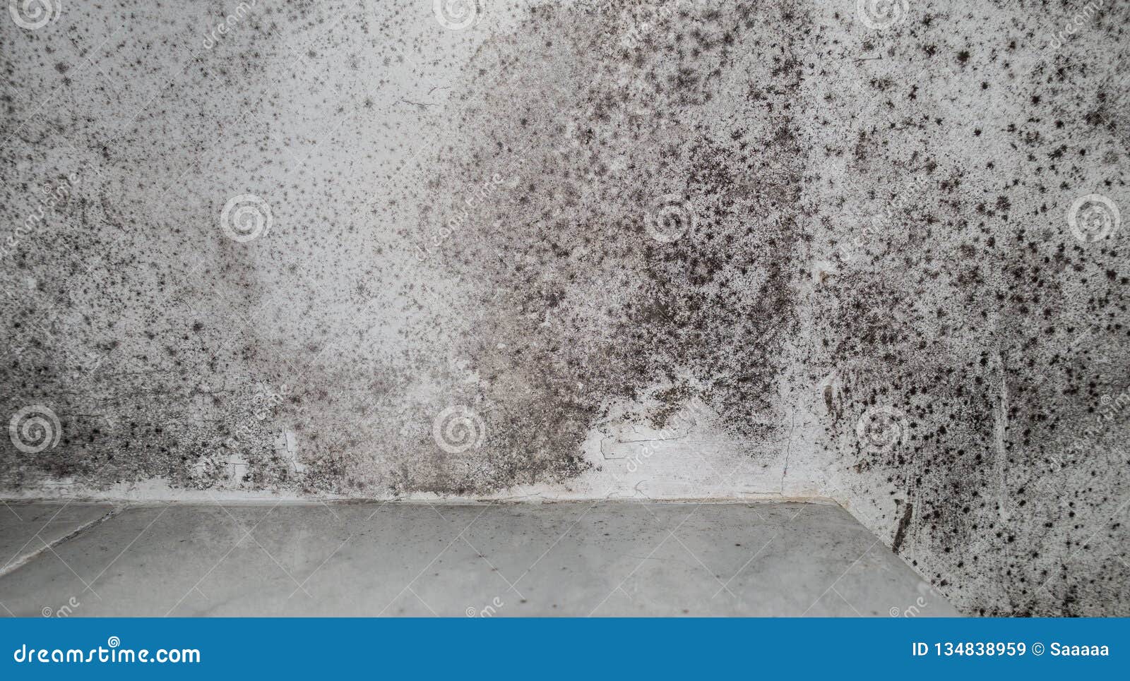 Black Damp Patches In White Bath Roof Stock Image Image Of