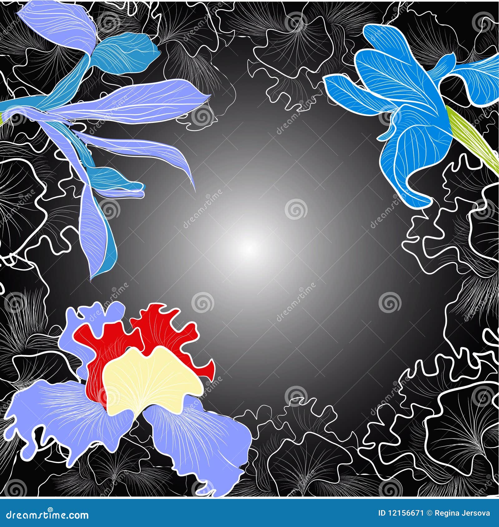 Black Decorative Background with Iris Stock Vector Illustration of revival, border 12156671