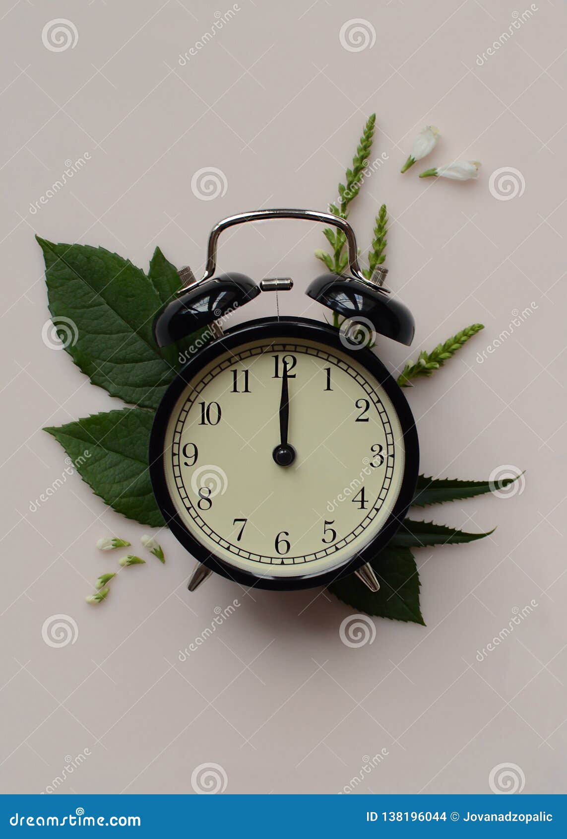 A Black Desk Clock On A Pastel Pink Background With A Green Leafs